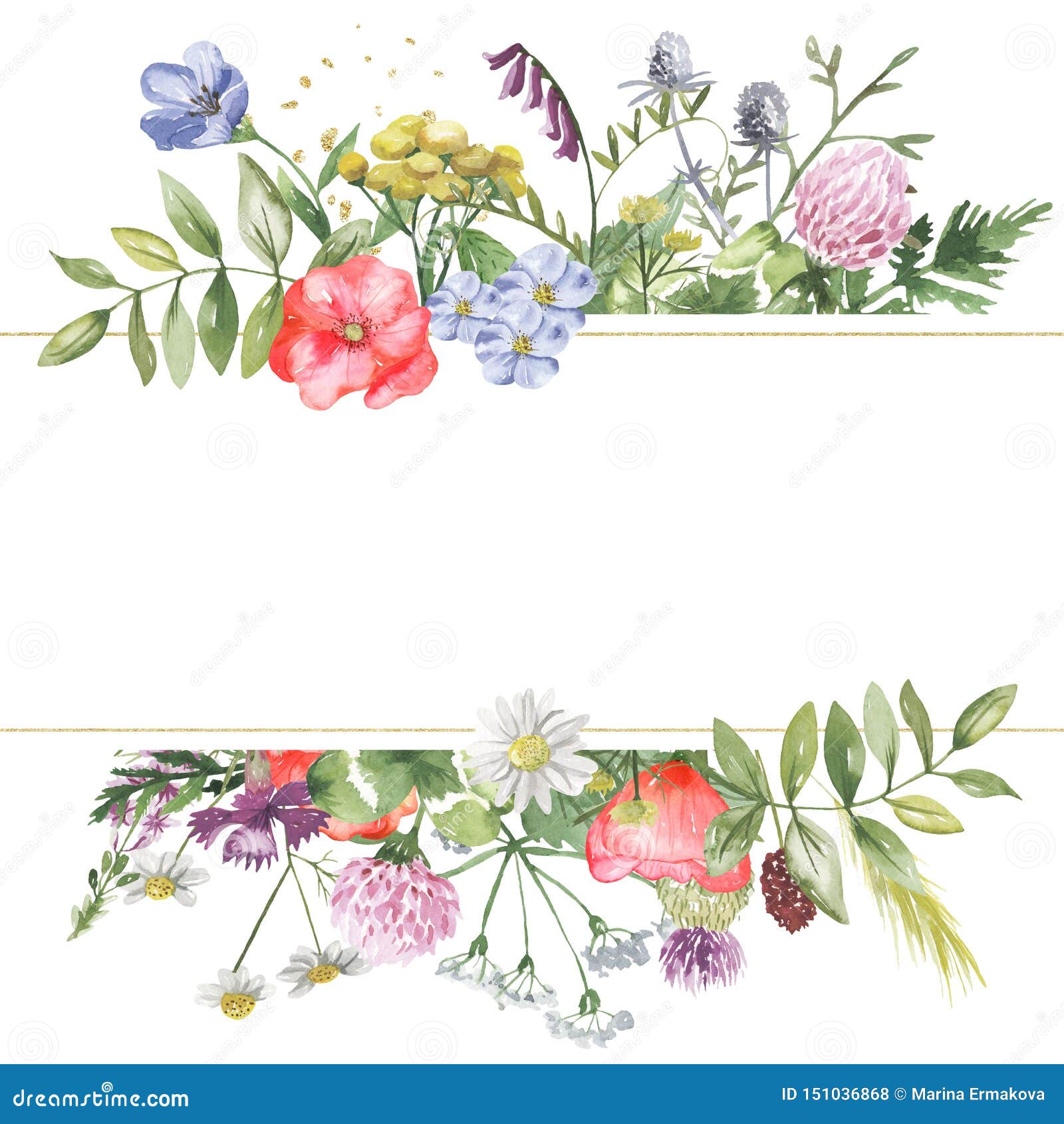 watercolor banner with wildflowers, herbs, plants, meadow flowers.