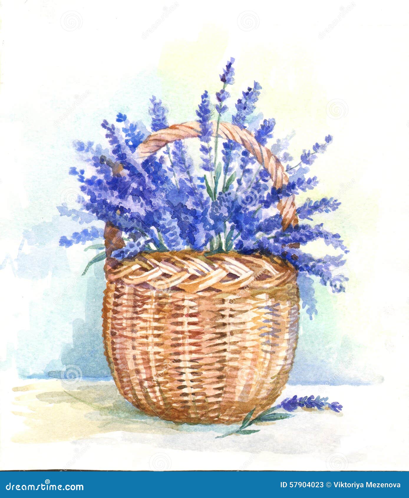 Watercolor Basket with Lavender Stock Illustration Illustration of