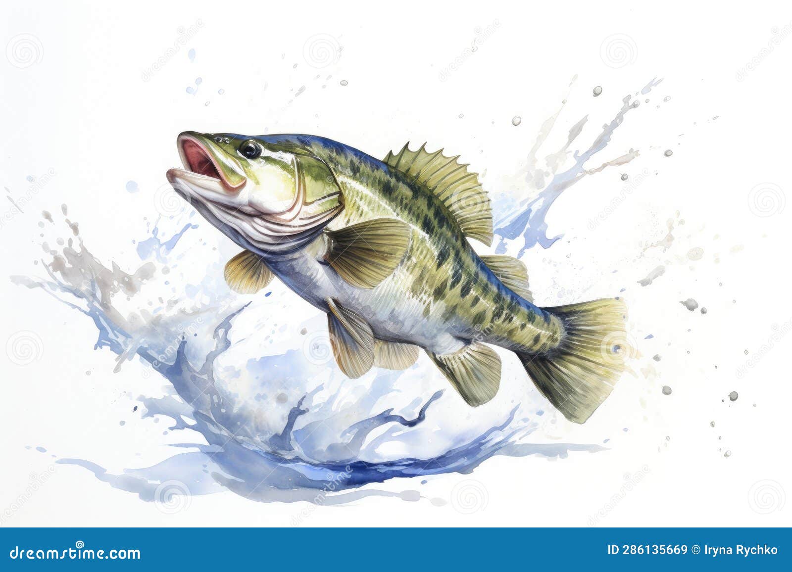 Watercolor Sea Bass Fishing Character Clipart RoyaltyFree Cartoon