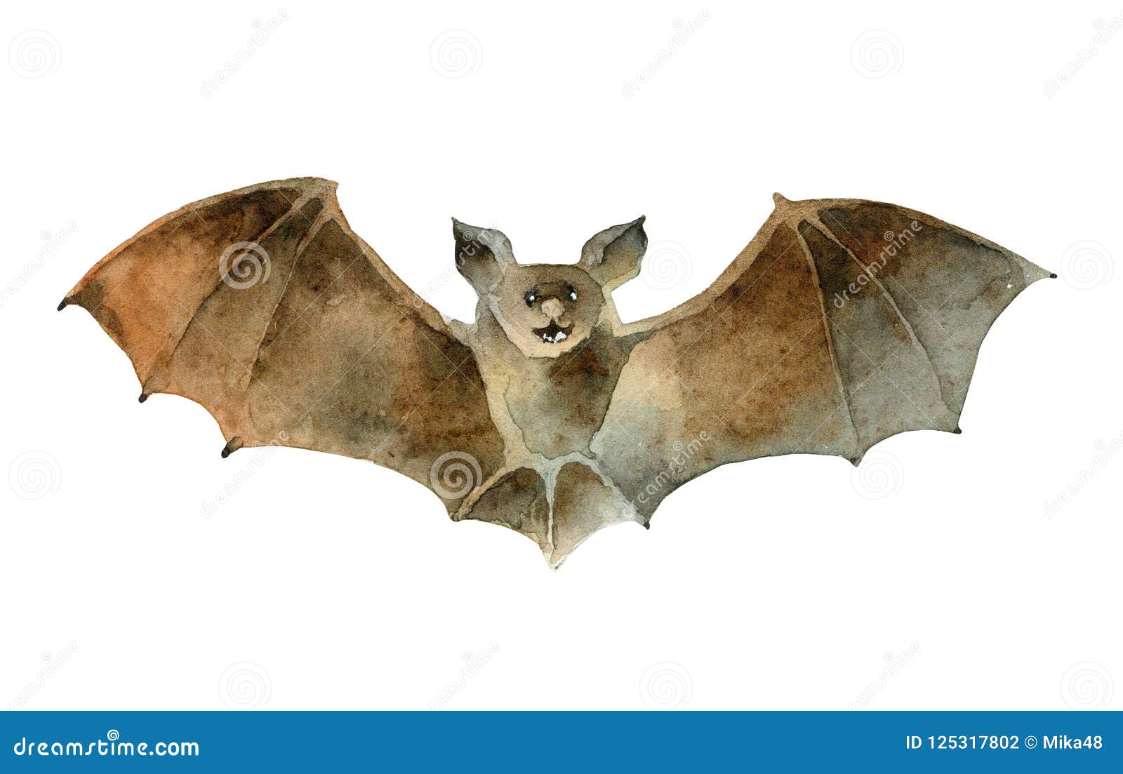 Watercolor Bat On White Background Stock Illustration Illustration Of Night Brown