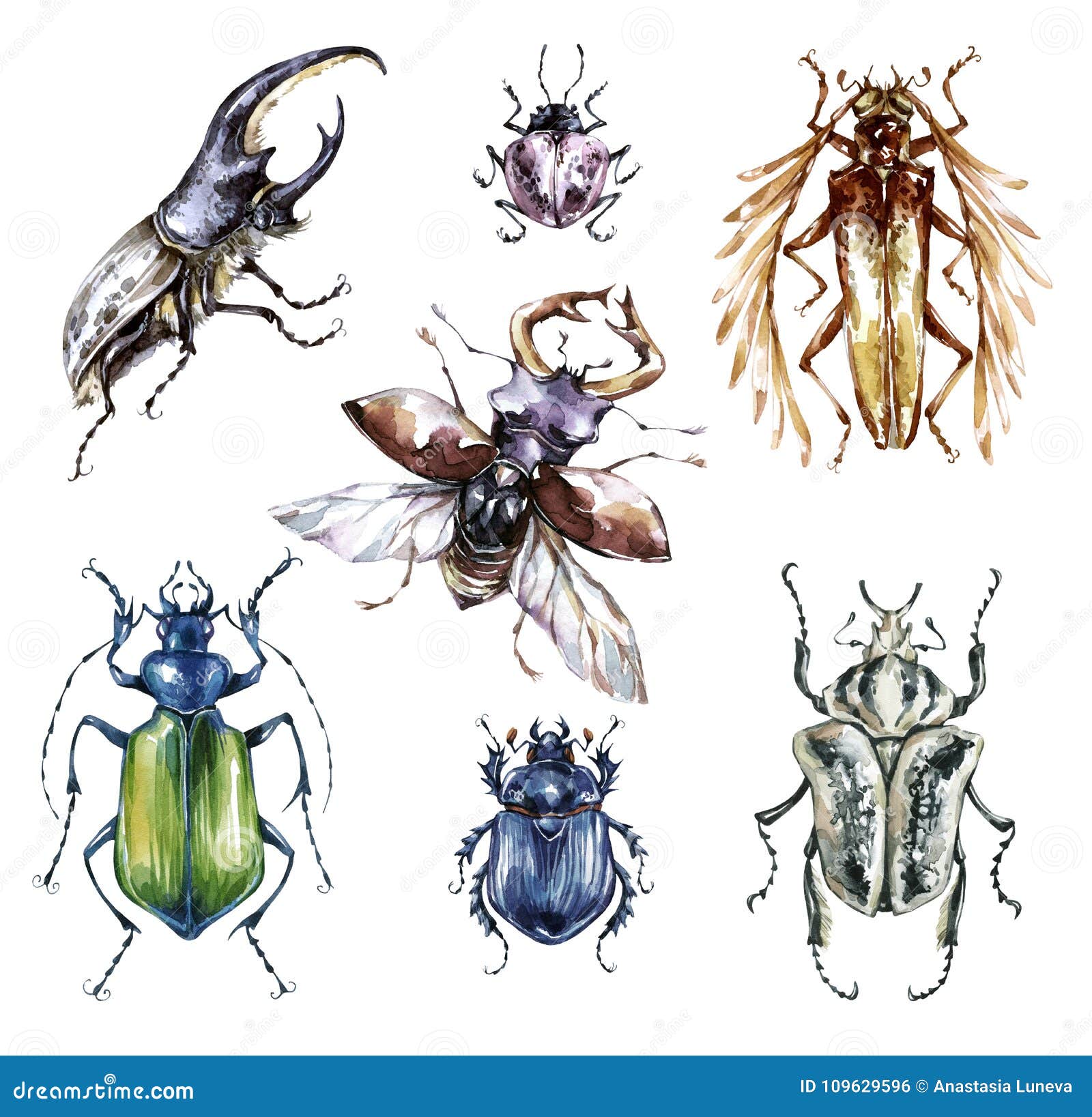 watercolor beetles collection on a white background. animal, insects. entomology. wildlife. can be printed on t-shirts