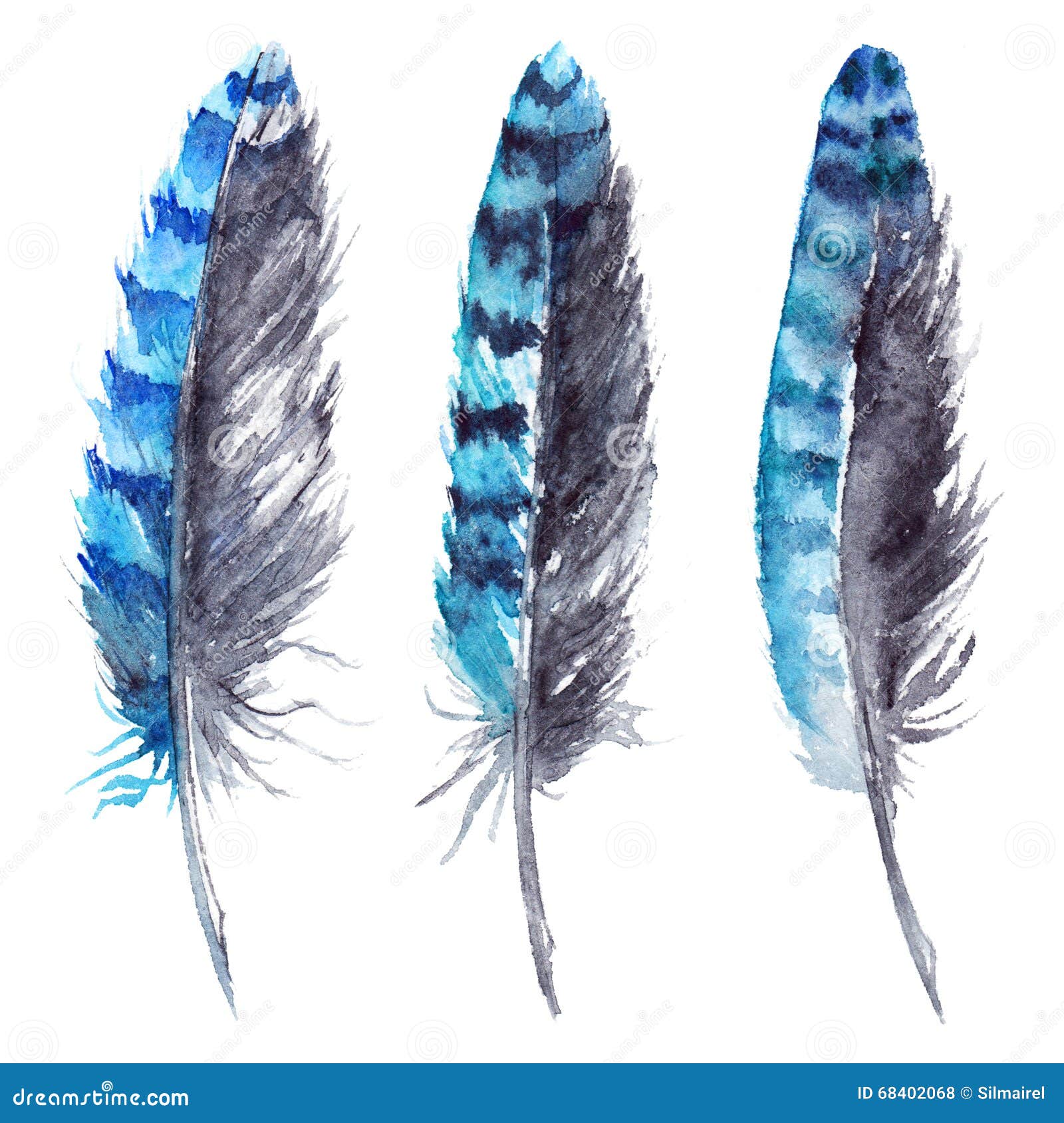 Blue Jay Feather Stock Illustrations 252 Blue Jay Feather Stock Illustrations Vectors Clipart Dreamstime