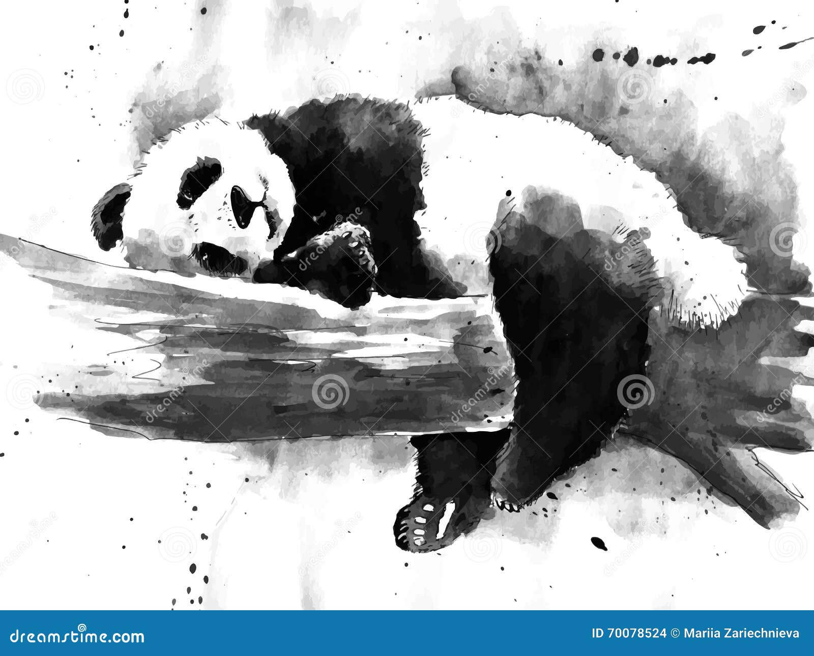 watercolor black and white panda drawing