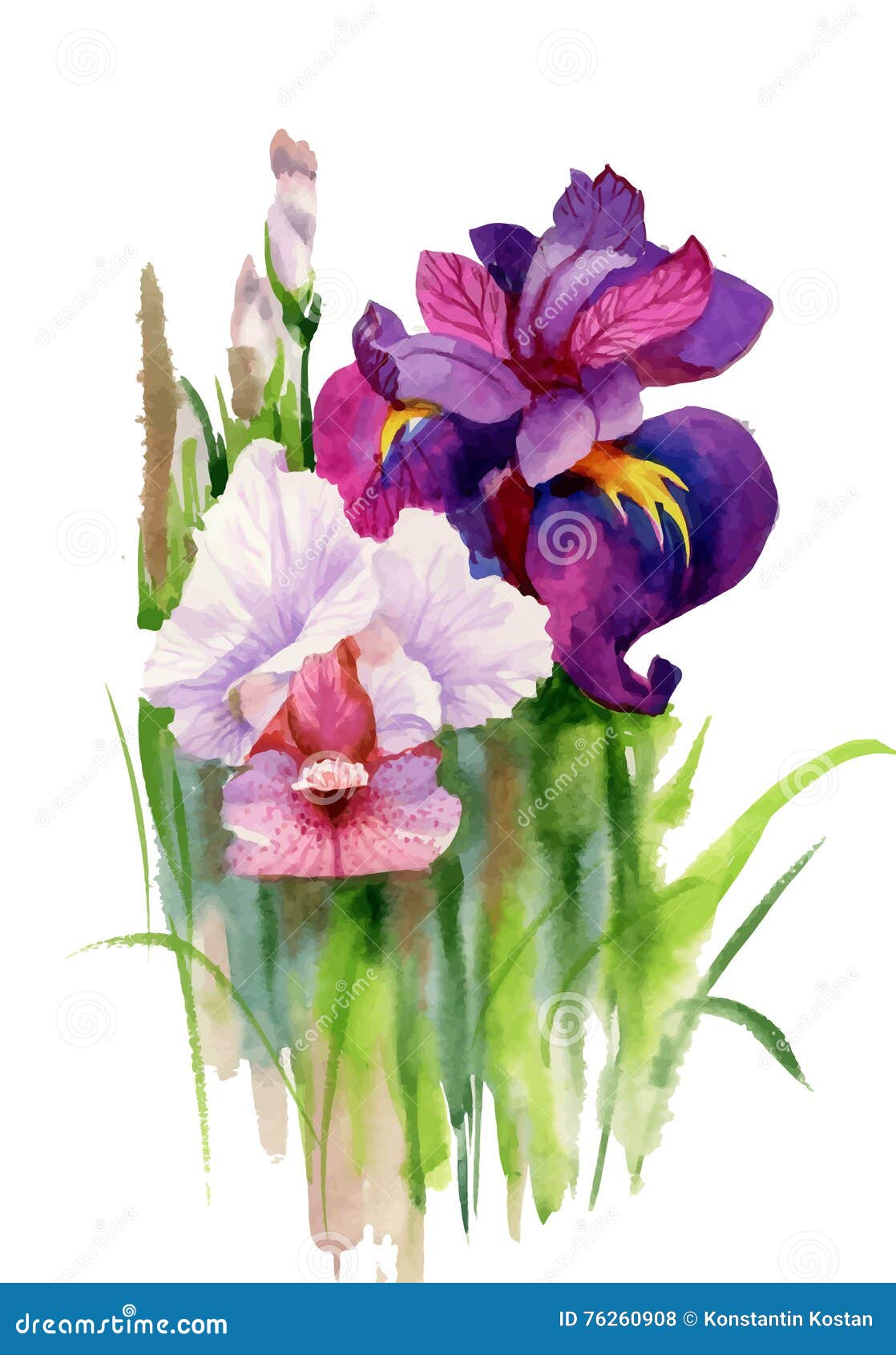 Watercolor Blooming Iris Flowers Stock Vector - Illustration of garden ...