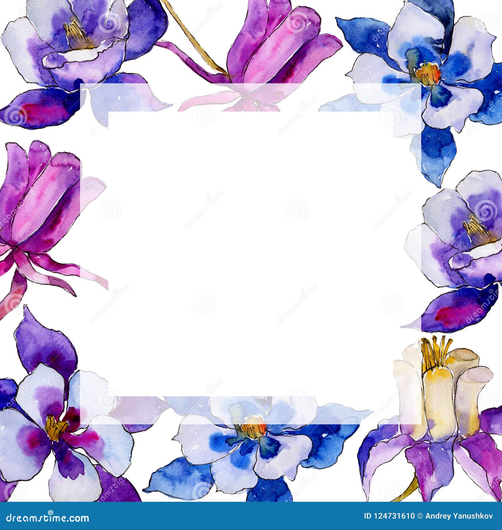 Watercolor Blue Aquilegia Flower. Floral Botanical Flower. Frame Border ...