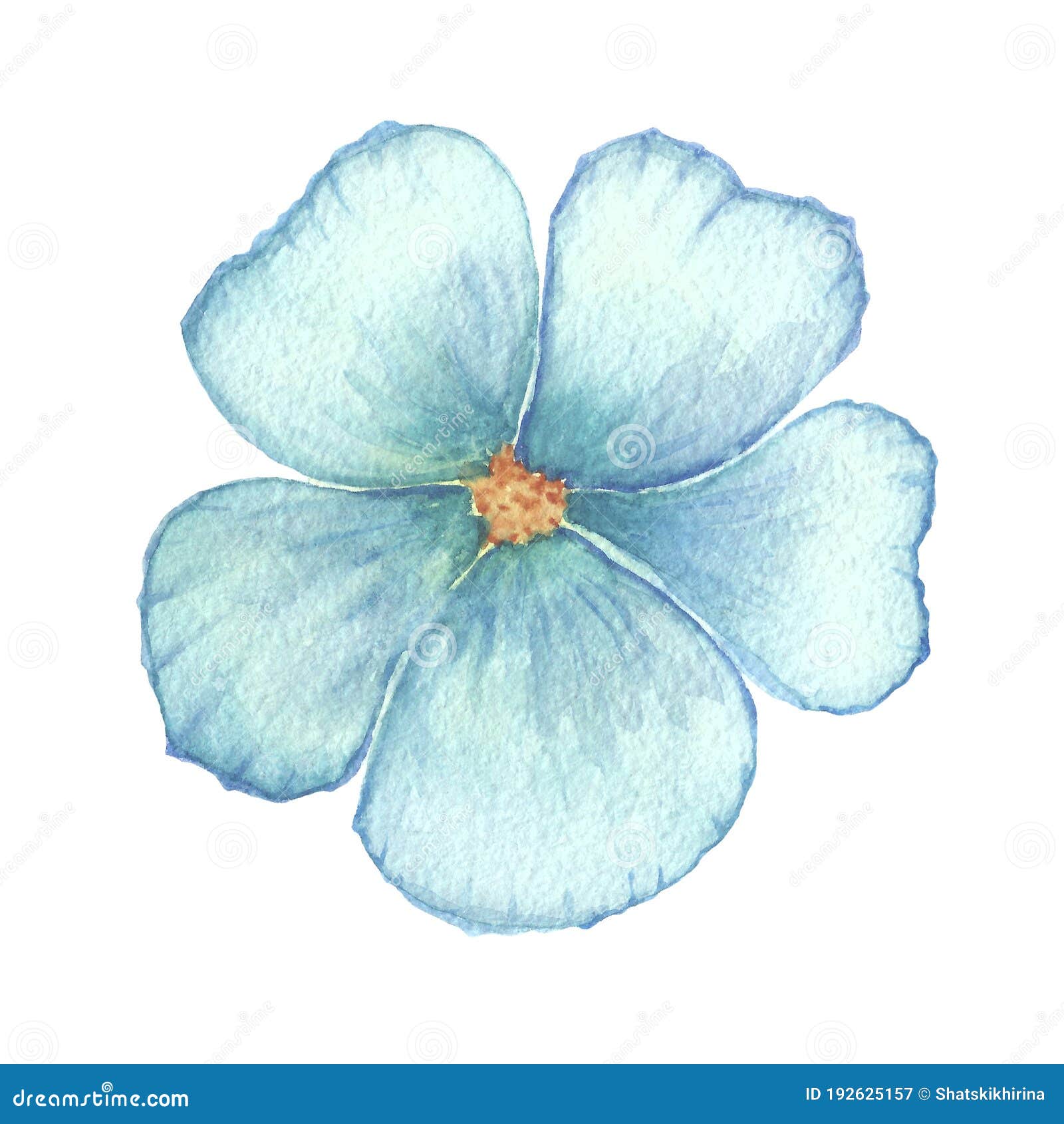 Lily flower drawing with blue pencil, elements on a white background Stock  Illustration | Adobe Stock