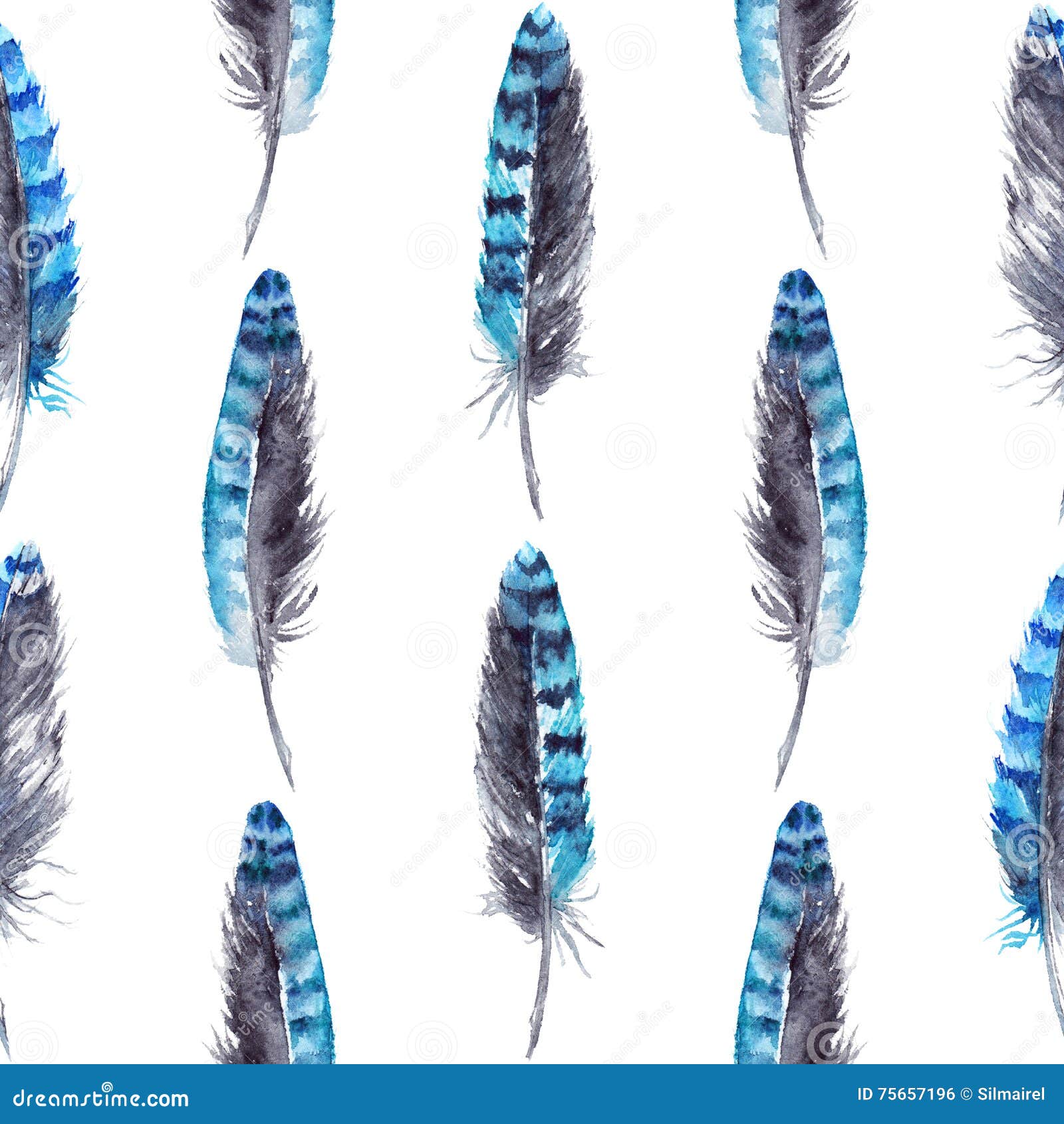Blue Jay Feather Stock Illustrations 252 Blue Jay Feather Stock Illustrations Vectors Clipart Dreamstime