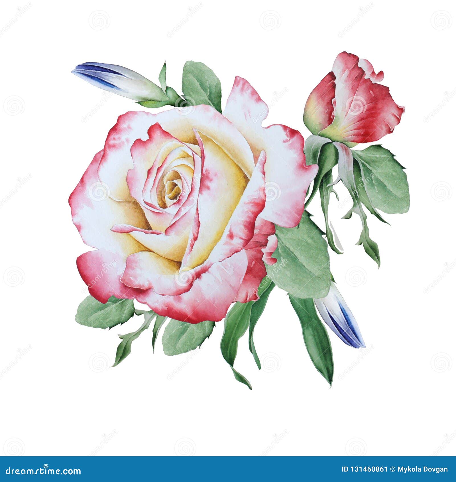 Watercolor Bouquet with Roses. Illustration Stock Illustration ...