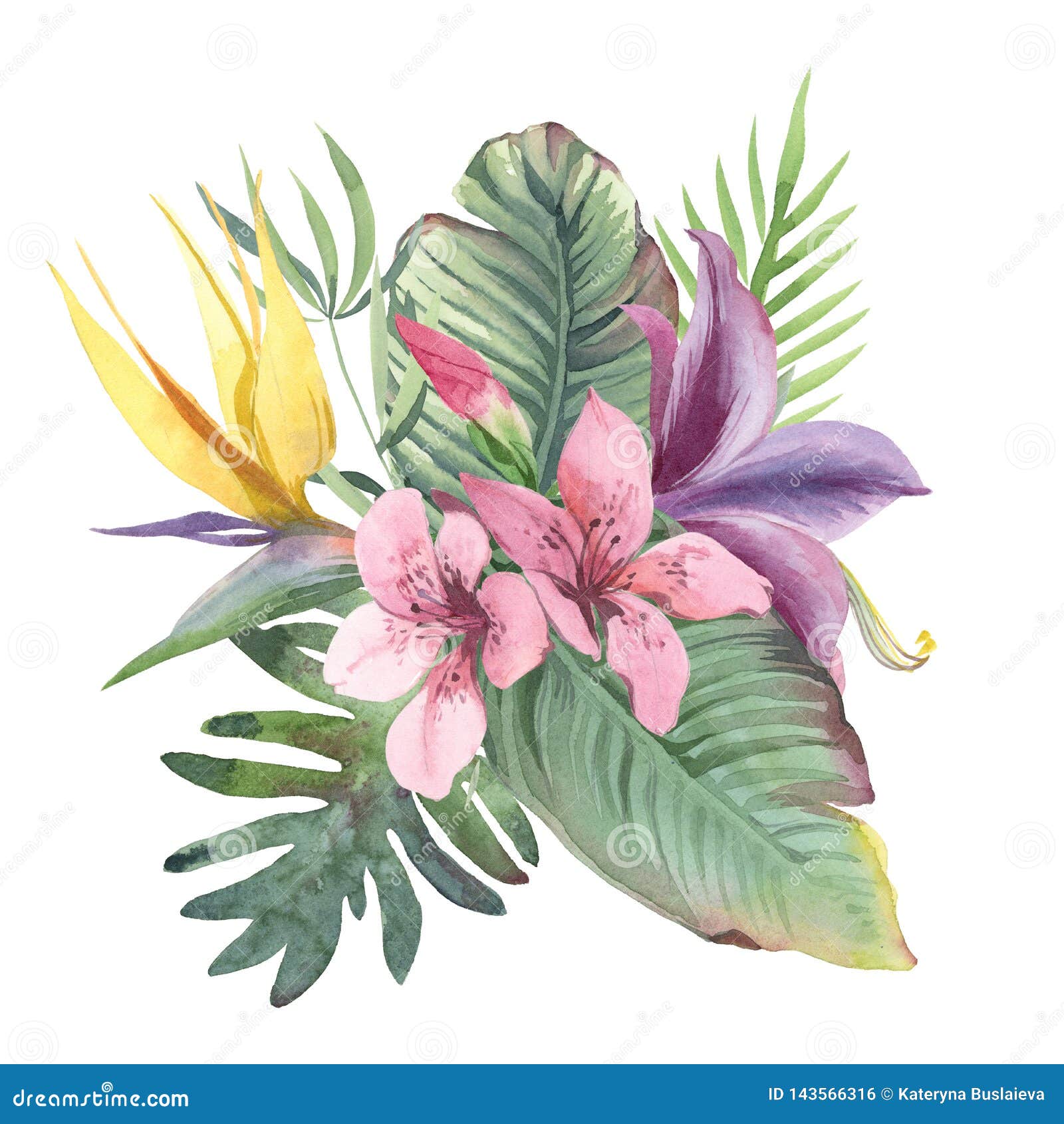 Download Watercolor Bouquet Of Tropical Flowers And Leaves On White ...