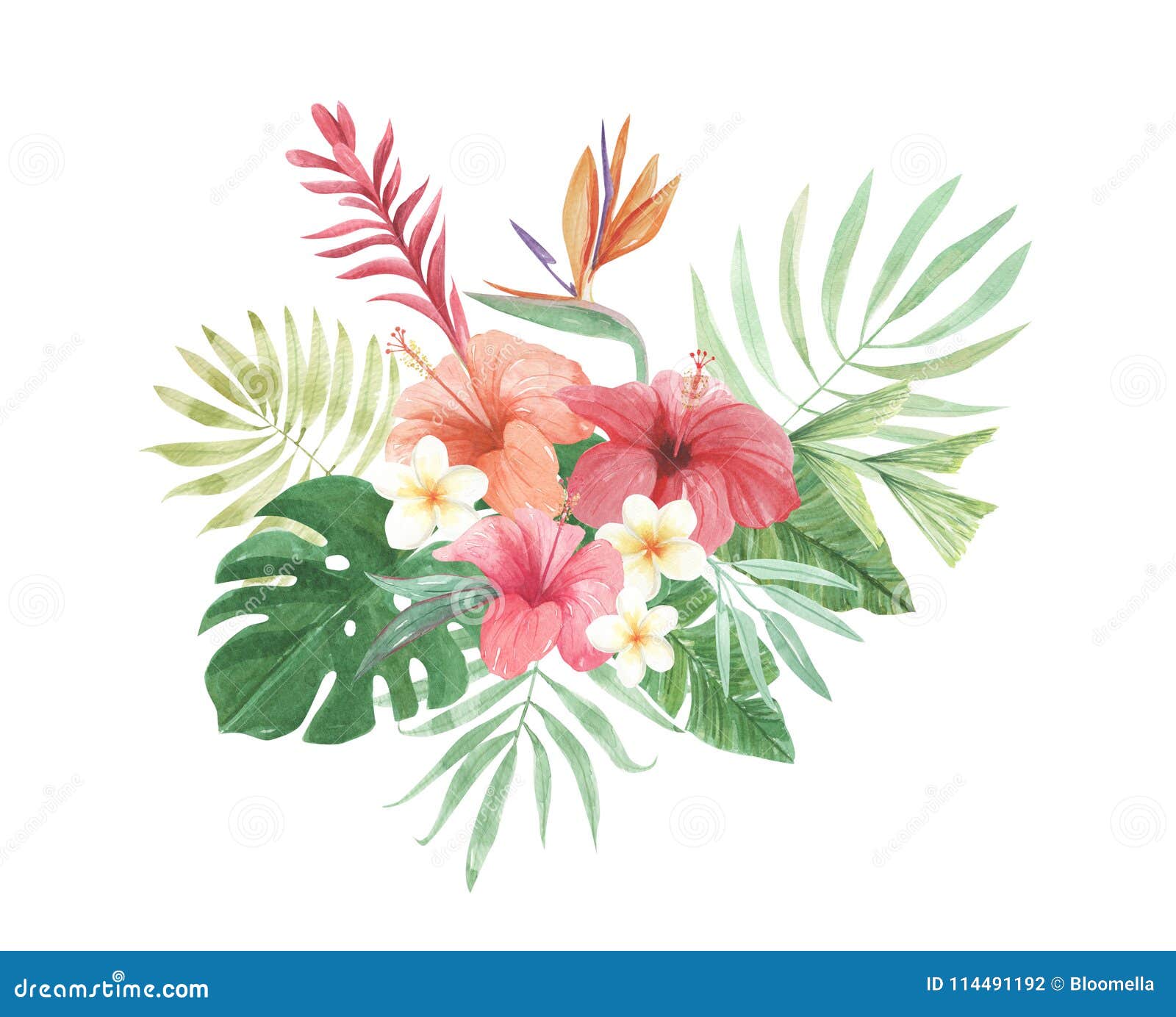 Watercolor Bouquets Floral Aloha Flowers Leaves Luau Arrangements Stock  Illustration - Illustration of design, frame: 114491192