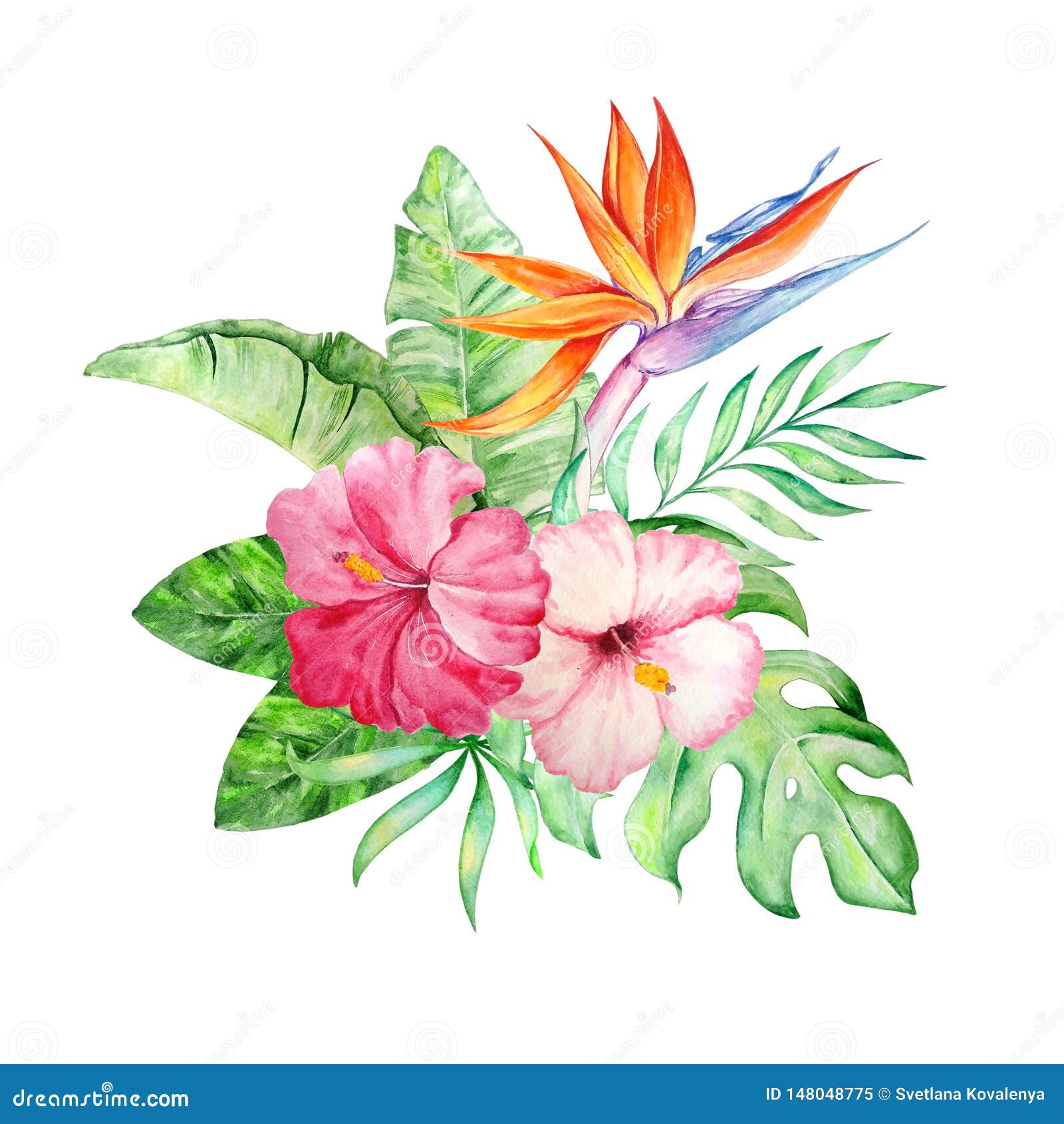 Watercolor Bouquet Tropical Flowers Stock Illustration - Illustration of  spring, floral: 148048775
