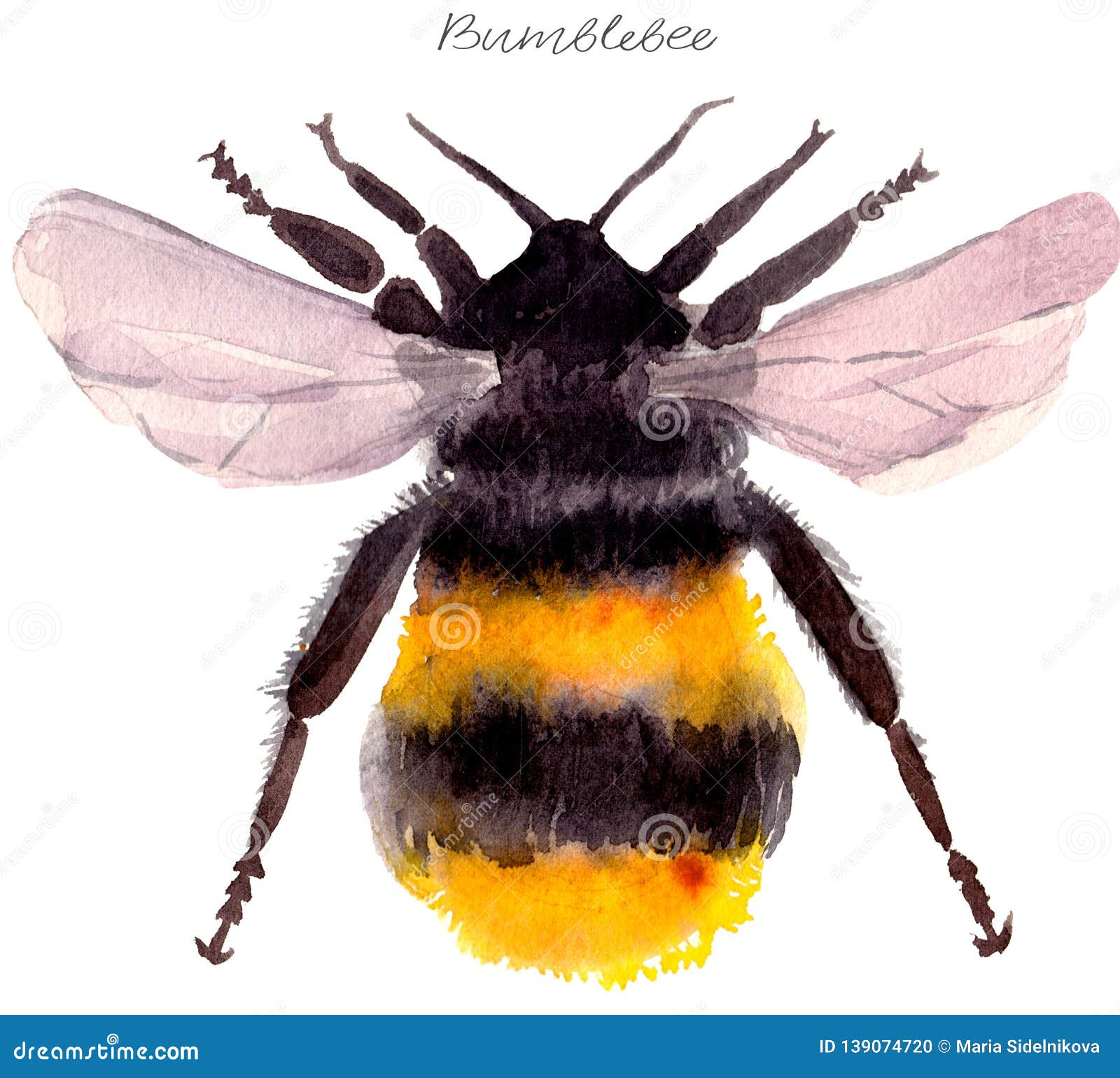 Watercolor Bumblebee stock illustration. Illustration of paper - 139074720