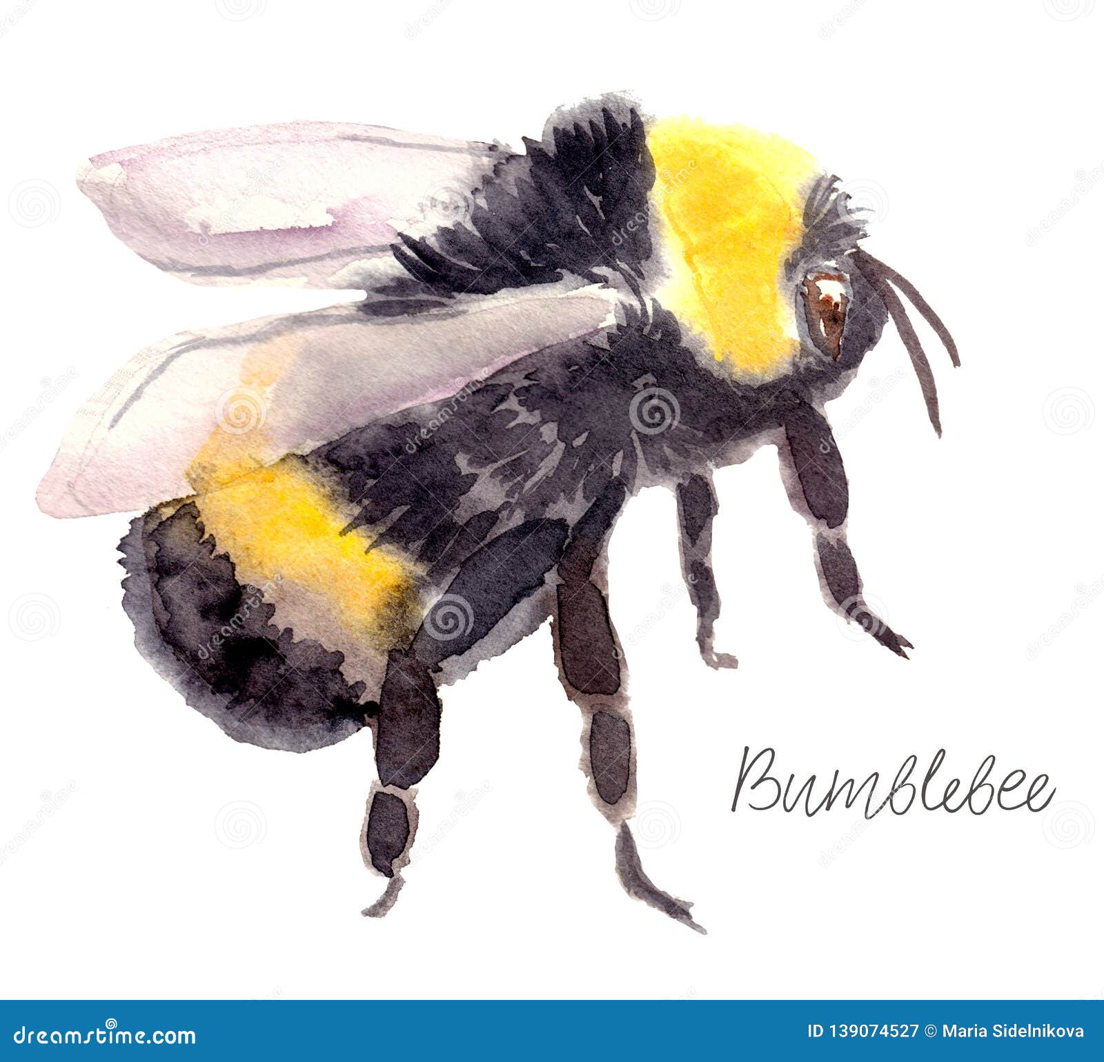 Watercolor Bumblebee Isolated Stock Illustration - Illustration of cute ...