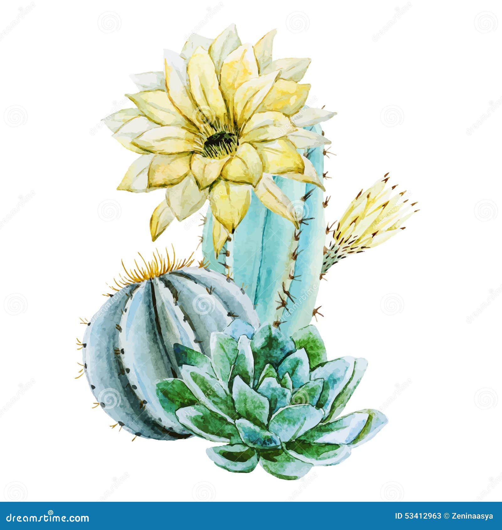 Download Watercolor Cactus Stock Vector - Image: 53412963