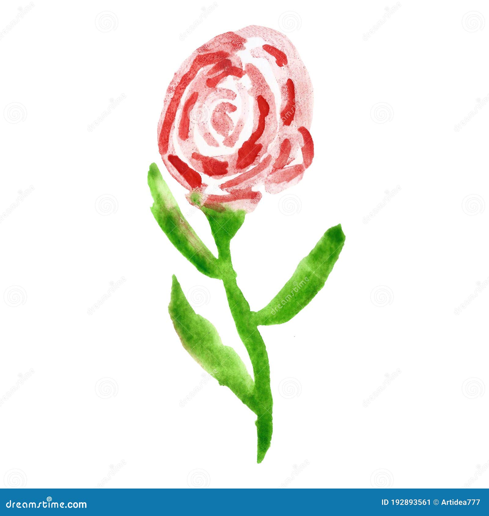 Watercolor Cartoon Drawing of Roses Flower Isolated on White. Stock Image -  Image of colored, flower: 192893561
