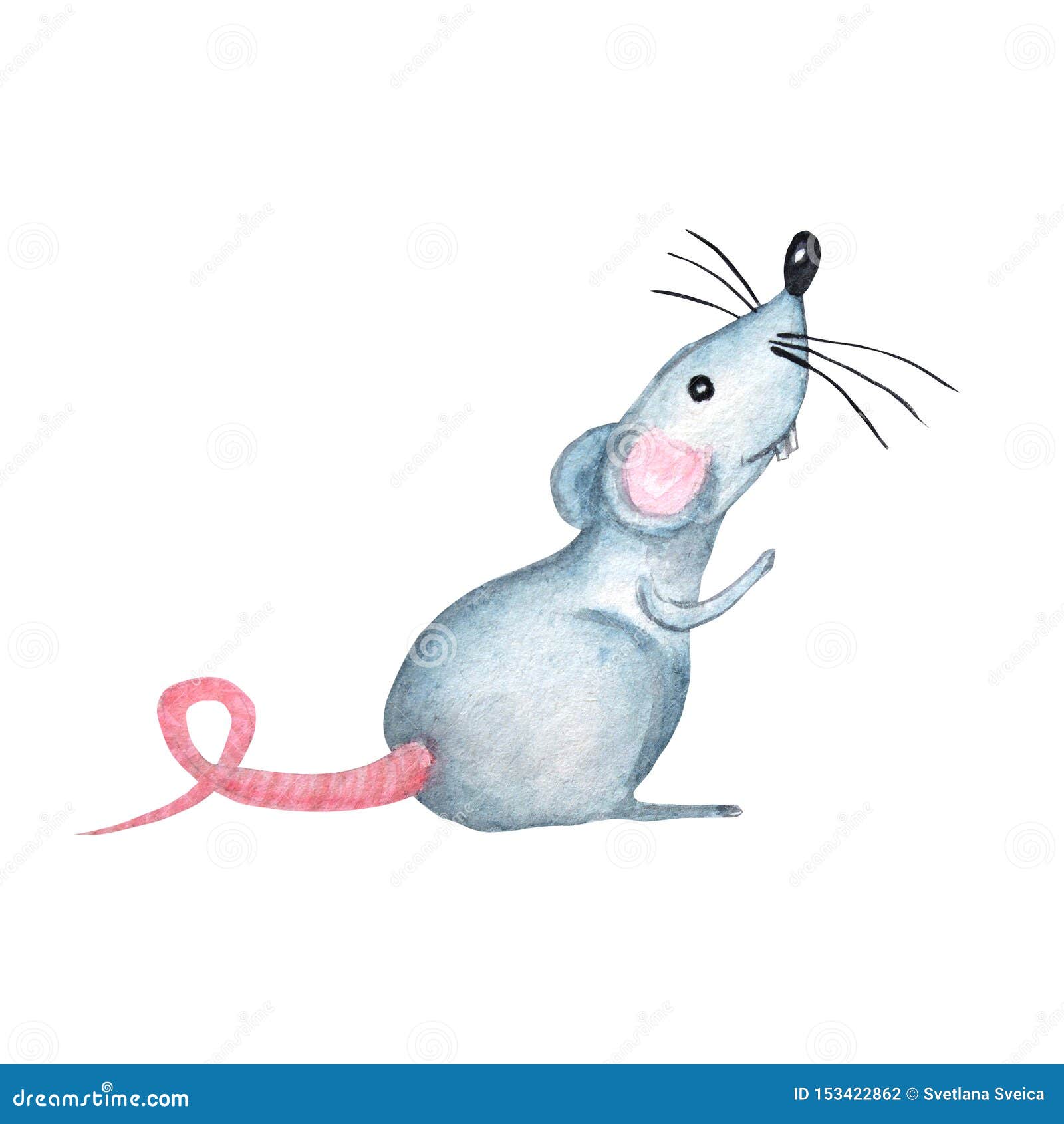 Watercolor Cartoon Hand Drawing Rat Symbol of the Chinese Horoscope 2020  Year. Isolated on a White Background Stock Illustration - Illustration of  animal, 2020: 153422862