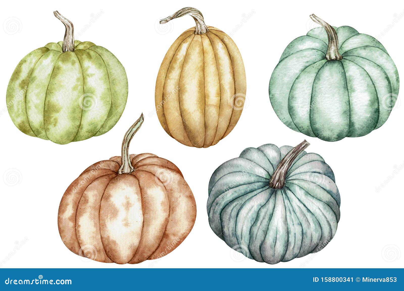 Download Watercolor Clipart Of Colorful Pumpkins Green Red Orange Blue Thanksgiving Collection Of Pumpkin Harvest Stock Image Image Of Clipart October 158800341