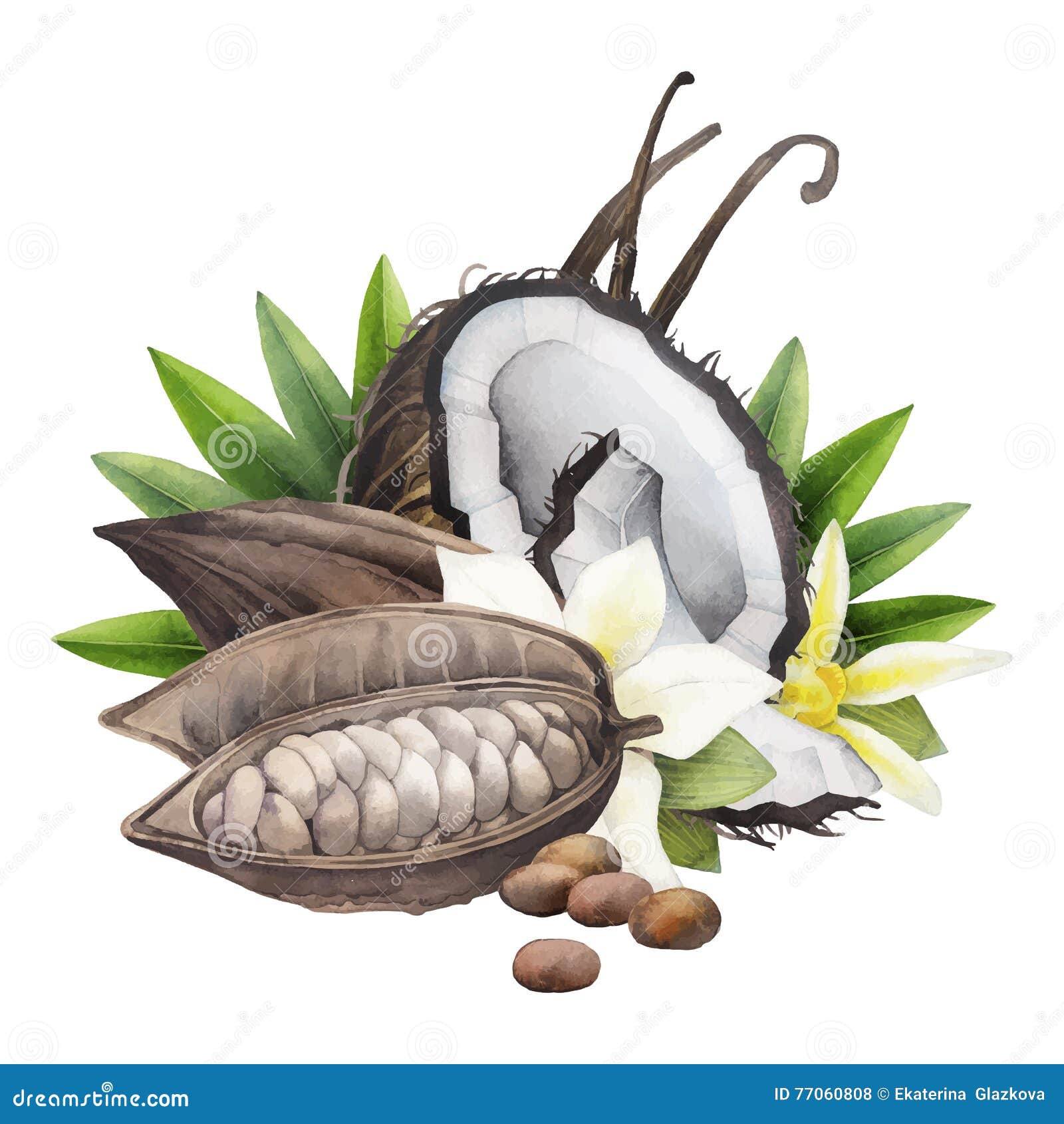 Coconut Vanilla Stock Illustrations – 2,093 Coconut Vanilla Stock