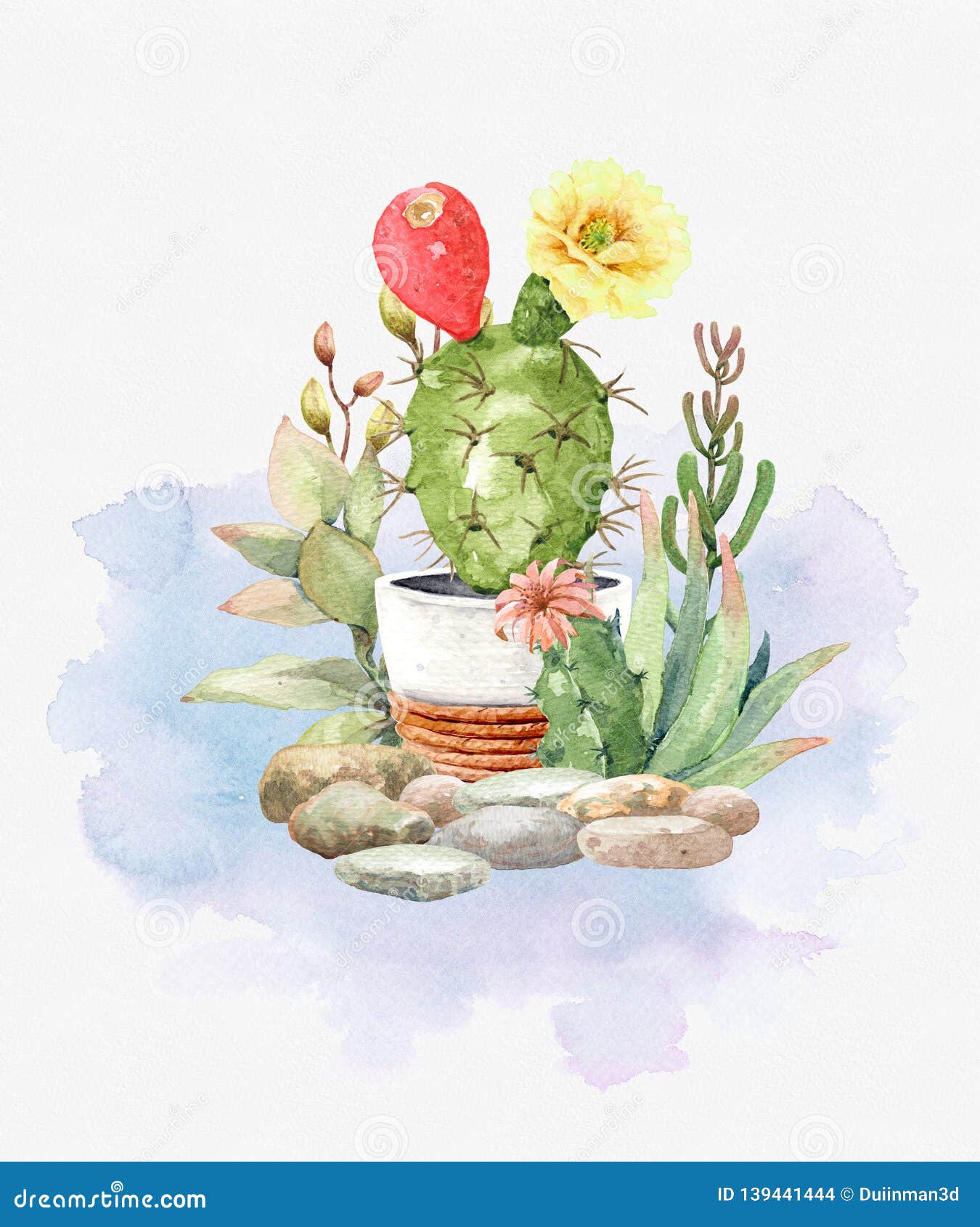 watercolor collection cactus cacti and succulents in stones. garden arrangement.