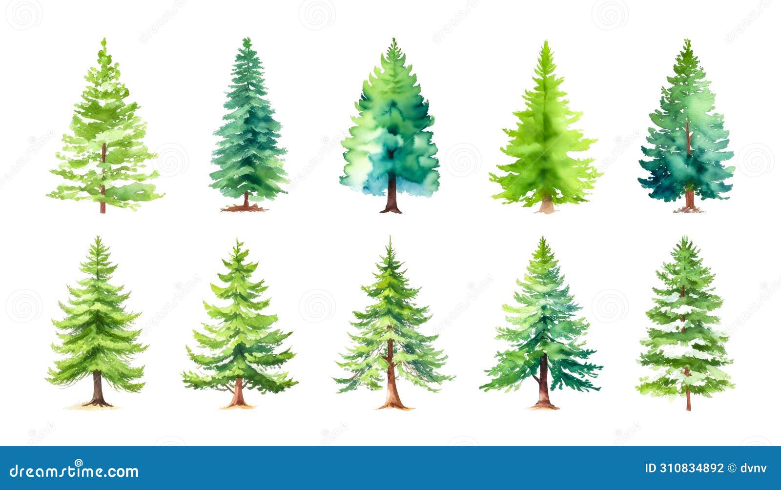 watercolor collection of green trees on white. coniferous, oak pine tree  plants