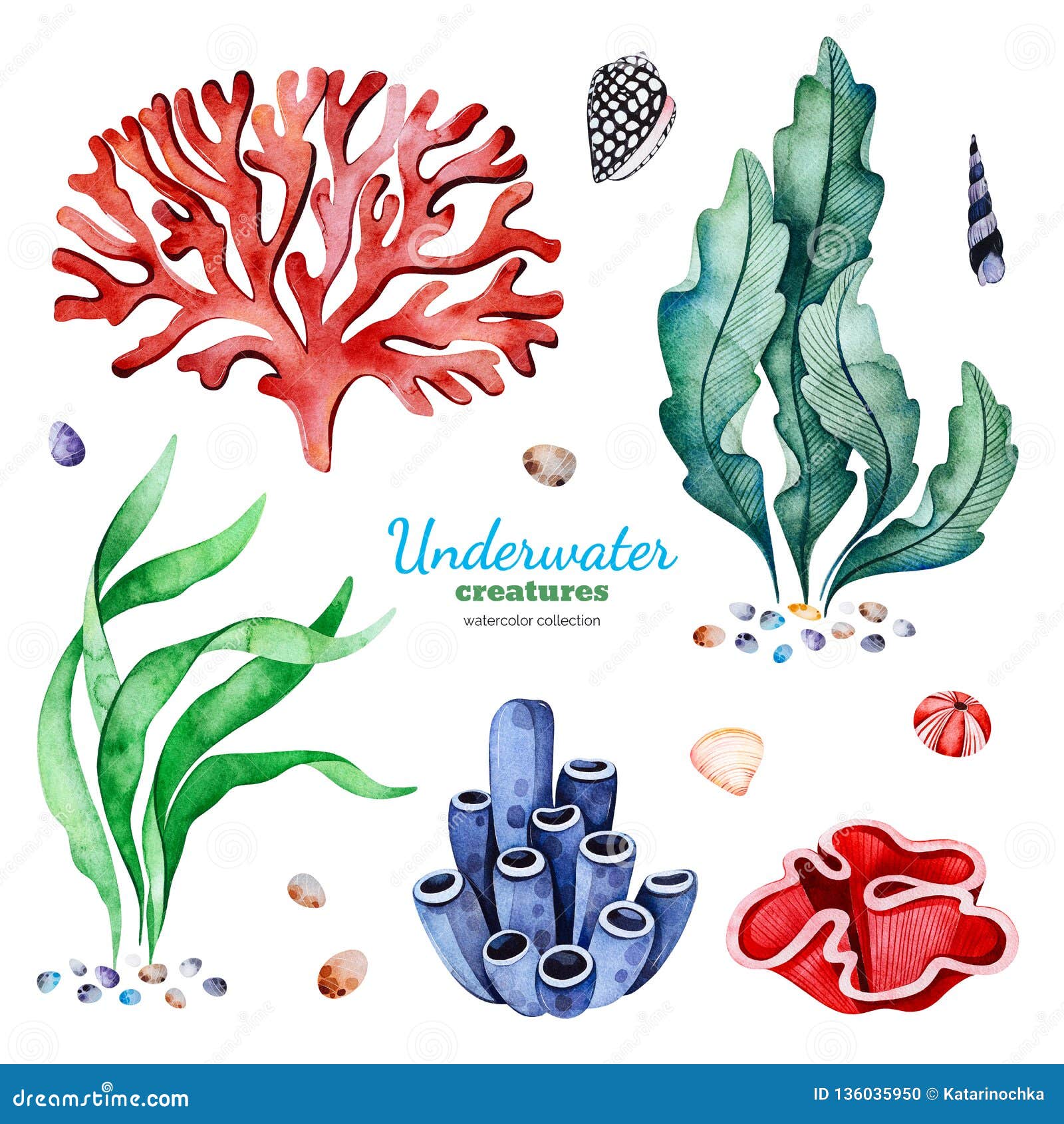 Watercolor Collection with Multicolored Coral Reefs,seashells and ...