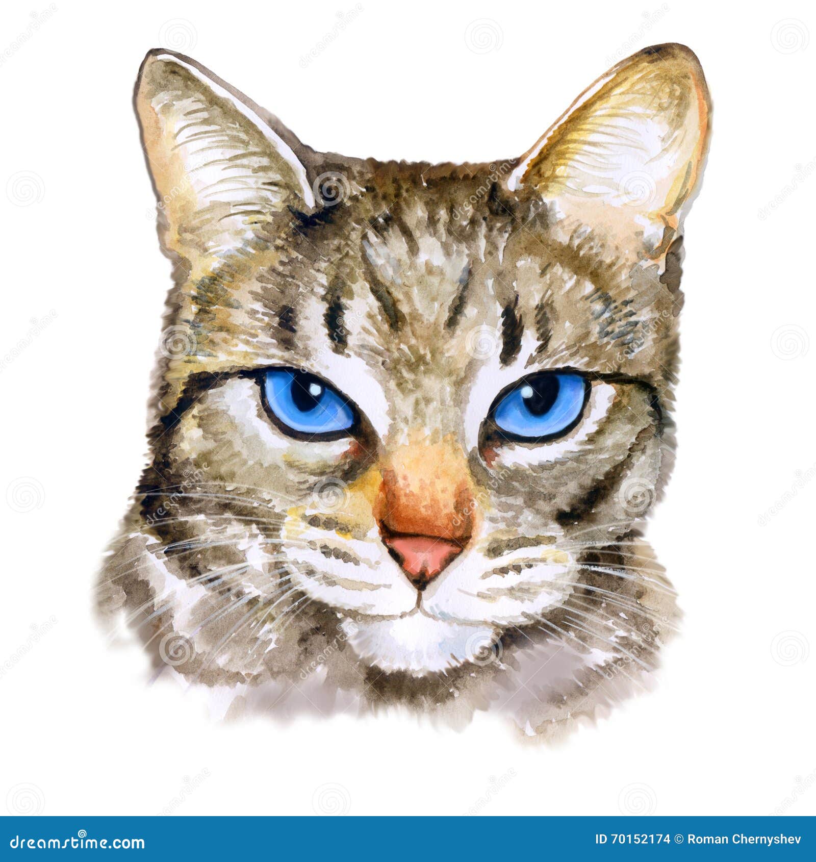 watercolor colseup portrait of ojos azules breed cat with blue eyes on white background. hand drawn home pet
