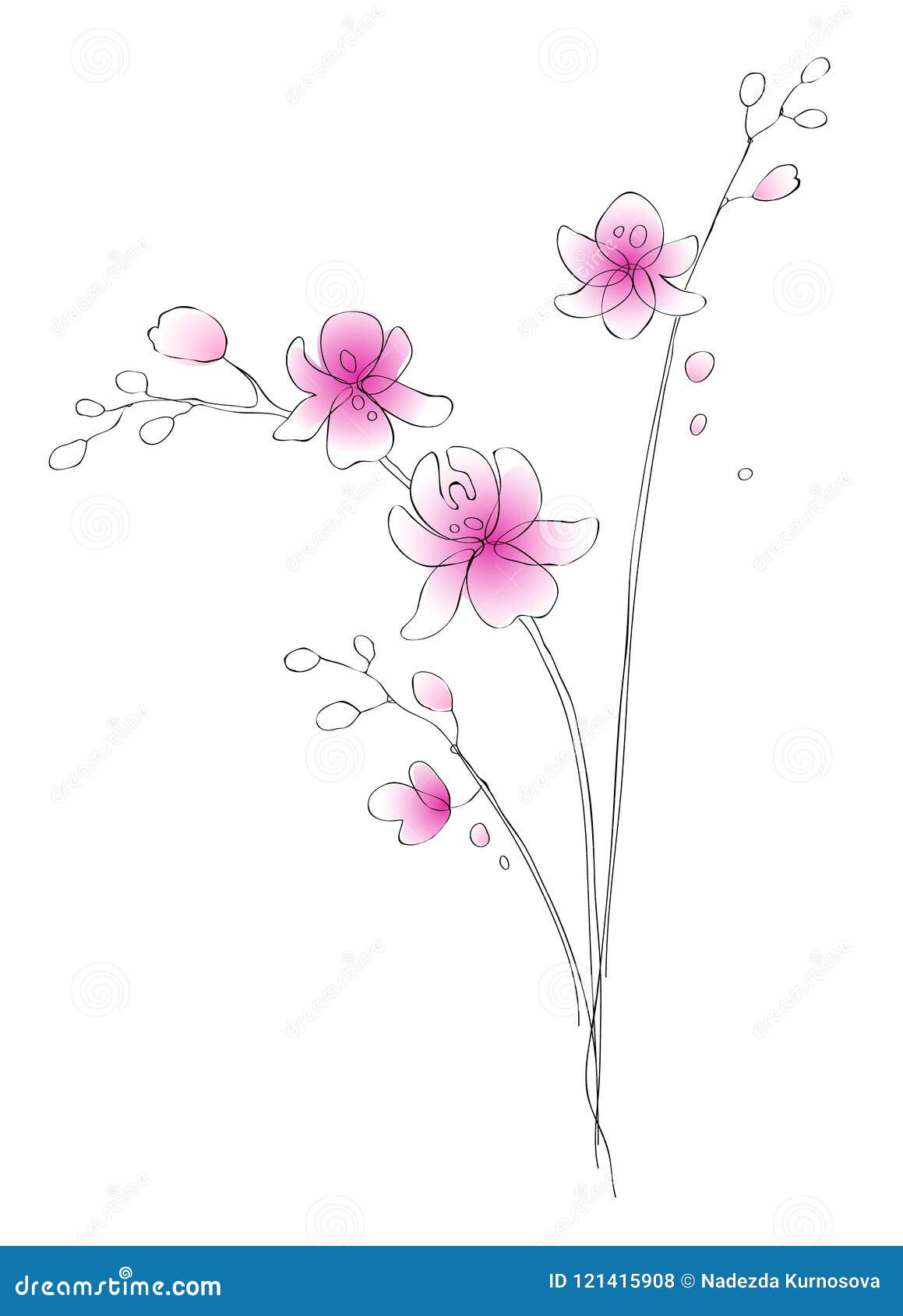 watercolor and contour orchids - digital  artwork