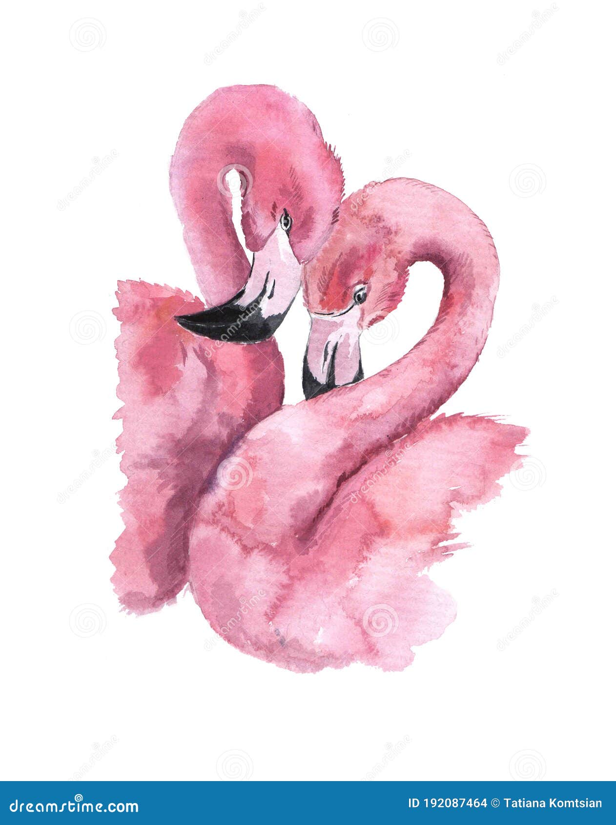 Watercolor Cute Pink Flamingo on the White Background Stock Illustration -  Illustration of beak, design: 192087464