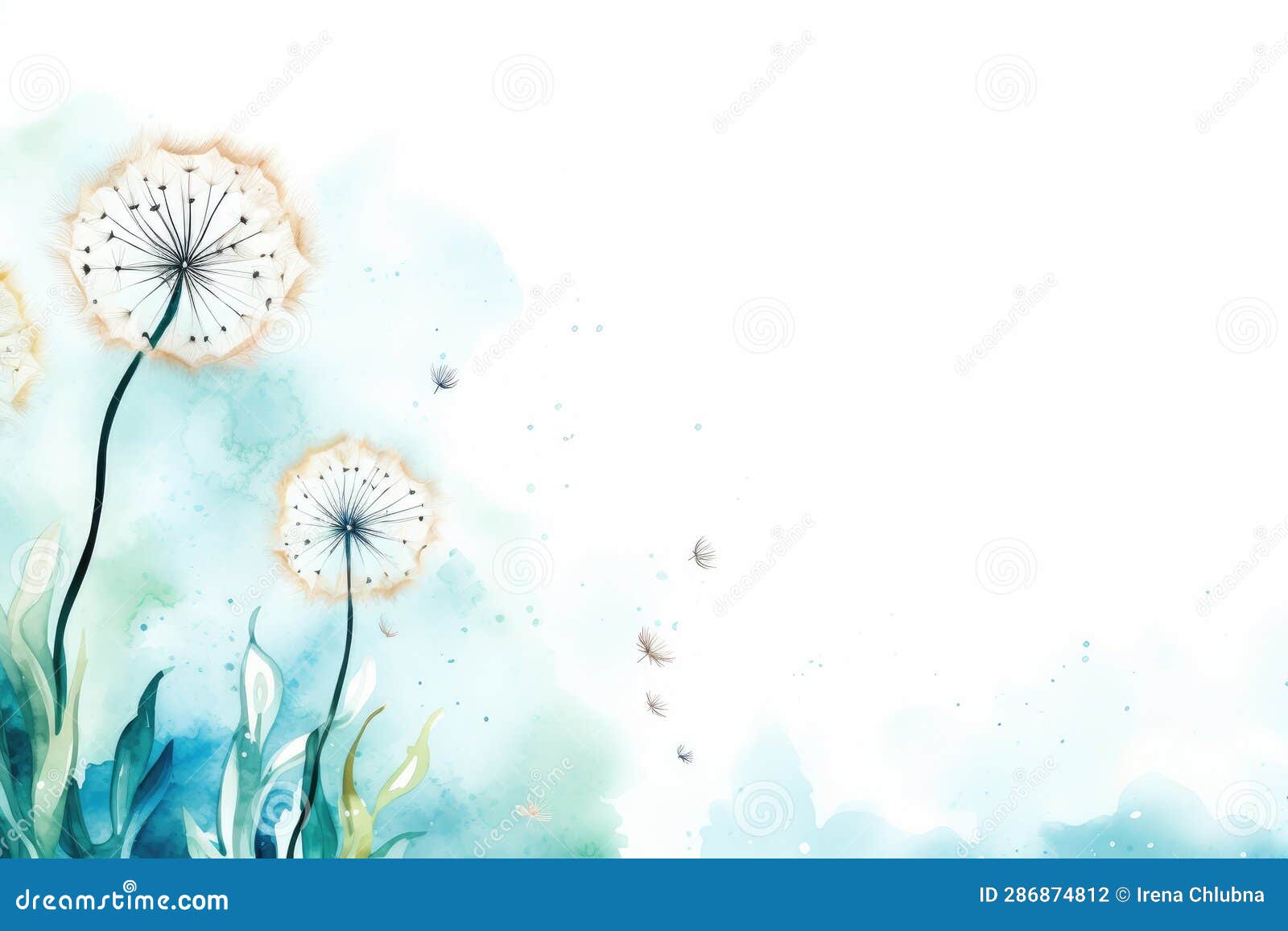 Watercolor Dandelions Frame Stock Illustration Illustration of grass