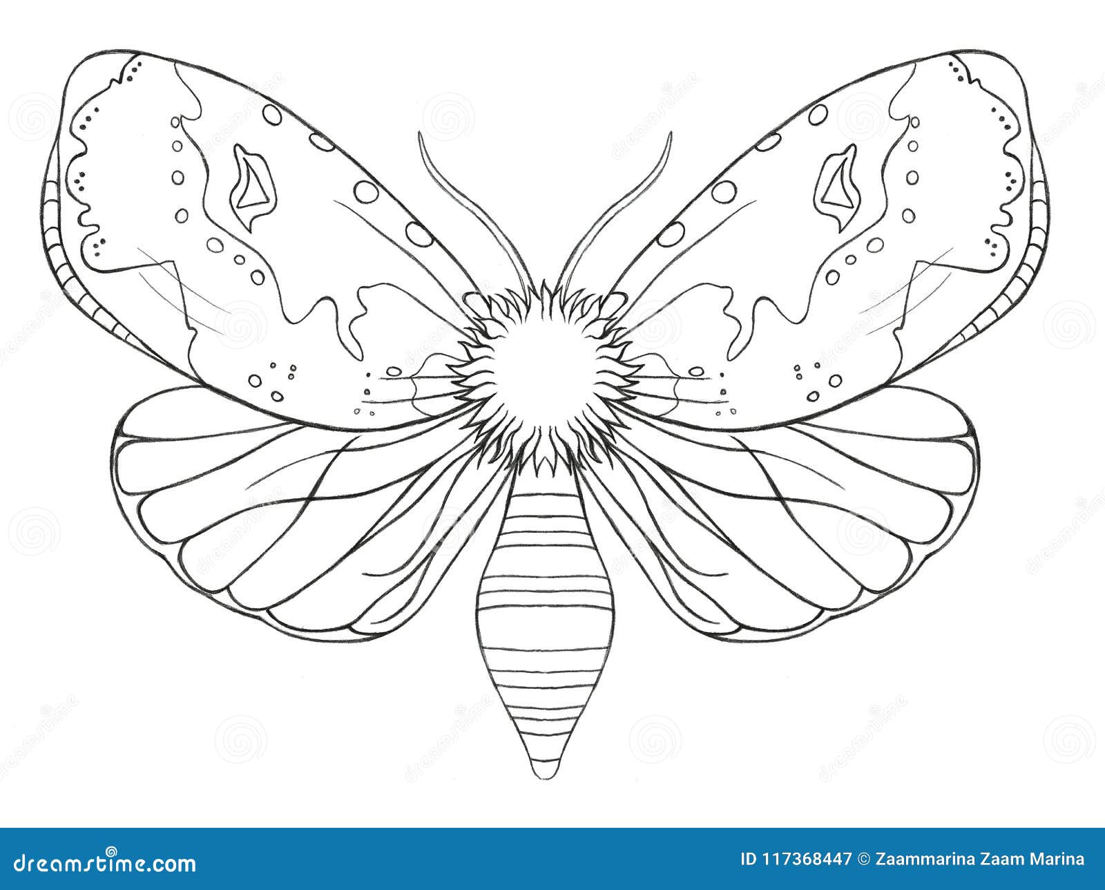 Watercolor Decorative Butterfly Insect, Drawn Contour, Print, Black and  White Coloring, Antistress on White Background for Decorat Stock  Illustration - Illustration of beauty, nature: 117368447