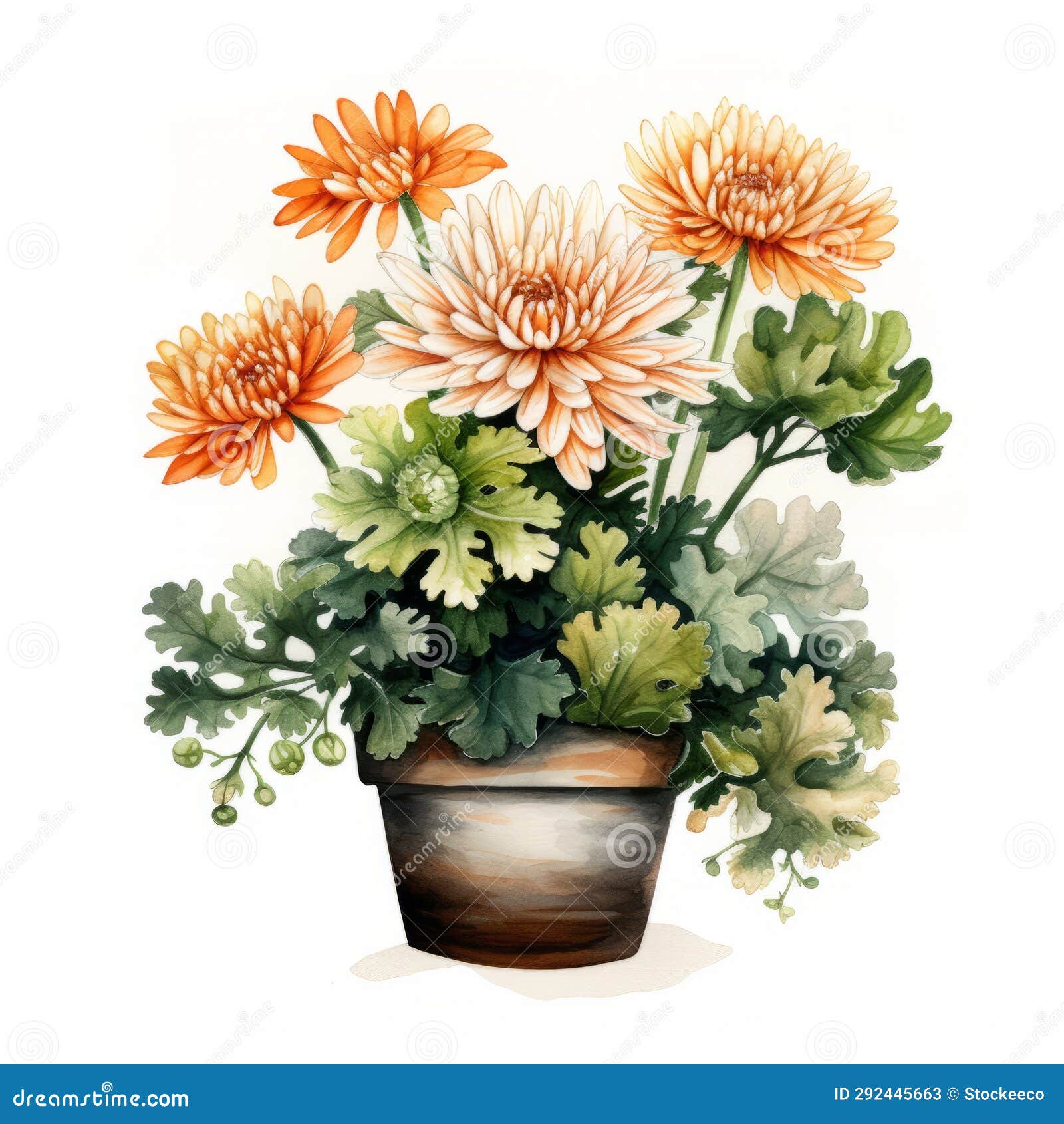 watercolor doodle of chrysanthemum flower and plants in pot