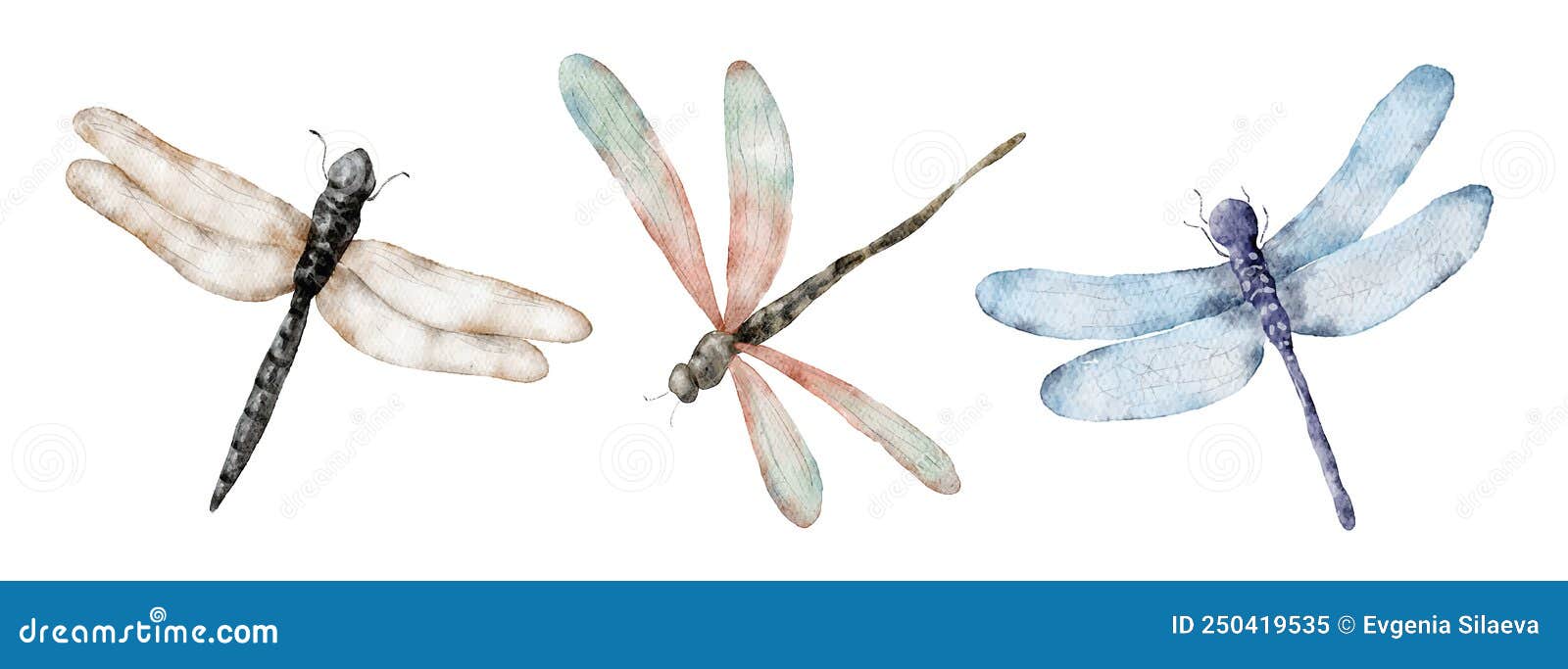 Watercolor dragonfly botanical illustration. Illustration AI Generative  23853607 PNG