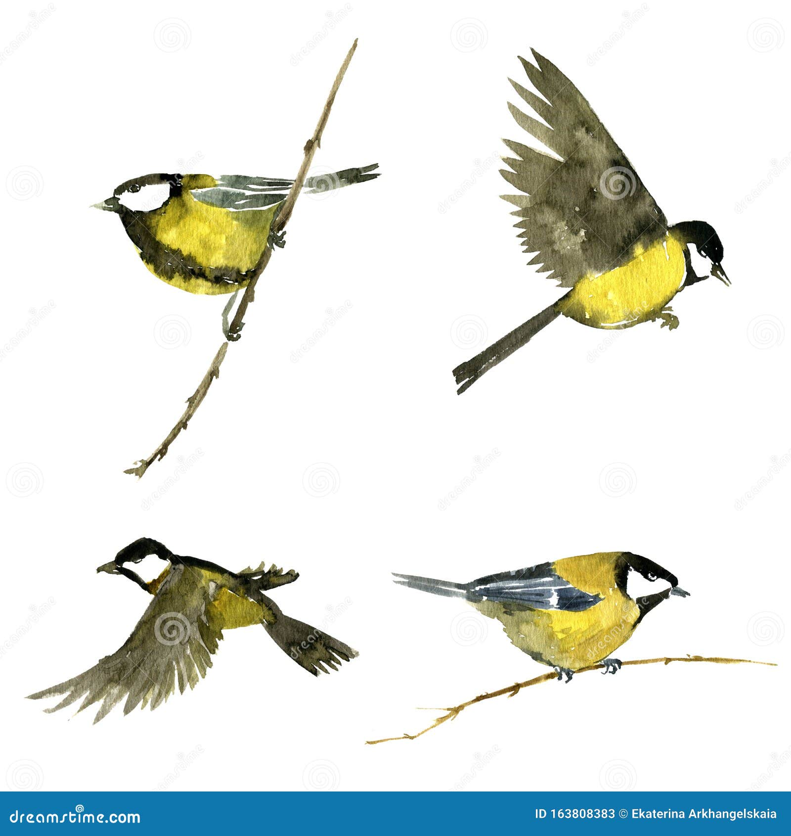 Watercolor Flying Birds Stock Illustration Illustration Of Sitting Watercolor Flying Birds Stock Illustration Illustration Of Sitting