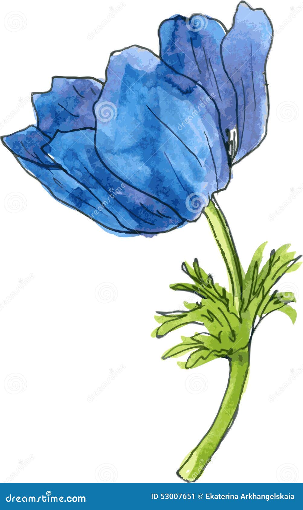 Two Blue Flowers Drawing Vector Illustration Outline Sketch, Flower Drawing,  Flowers Drawing, Wing Drawing PNG and Vector with Transparent Background  for Free Download