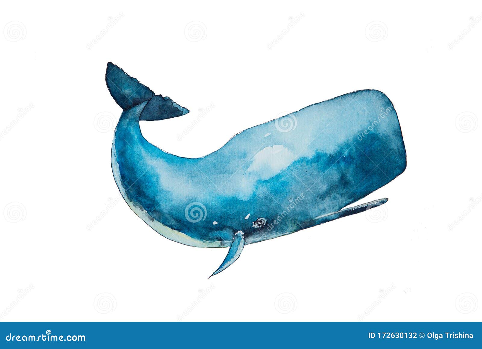 Illustration Of Sperm Whale Stock Illustration Illustration Of Cute Swim