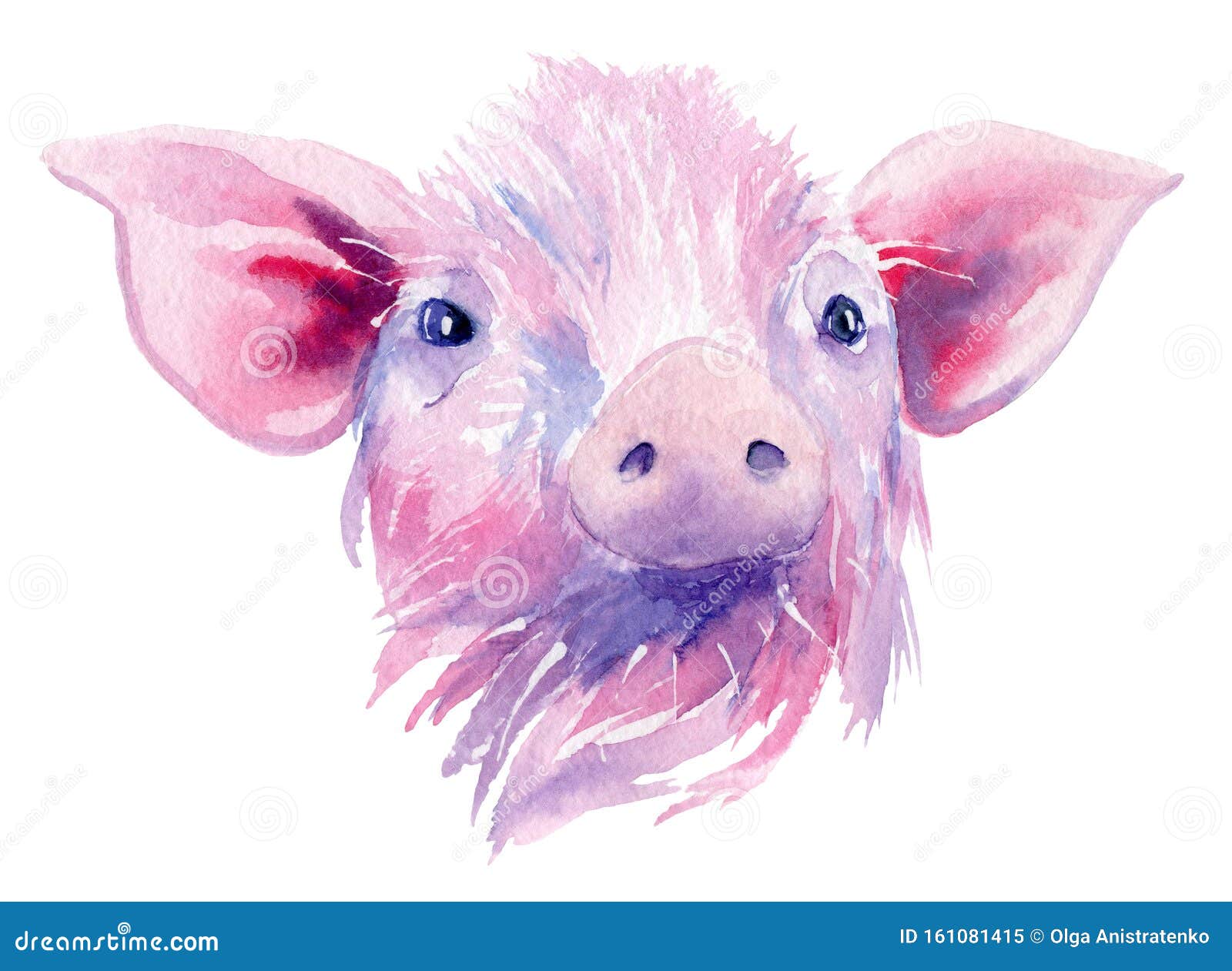 1 063 Drawing Pig Photos Free Royalty Free Stock Photos From Dreamstime