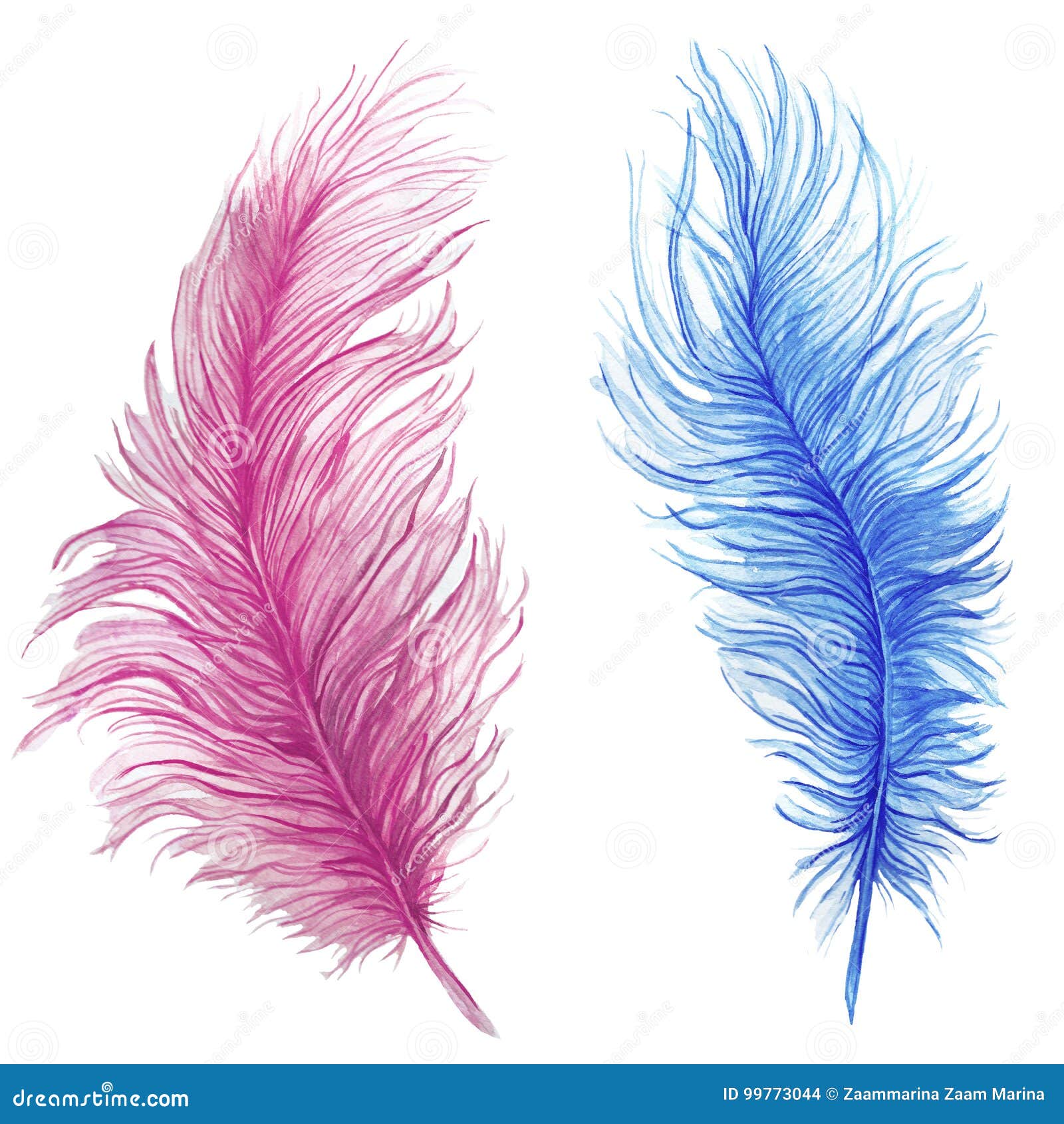 watercolor drawing, feathers, blue feather, pink feather