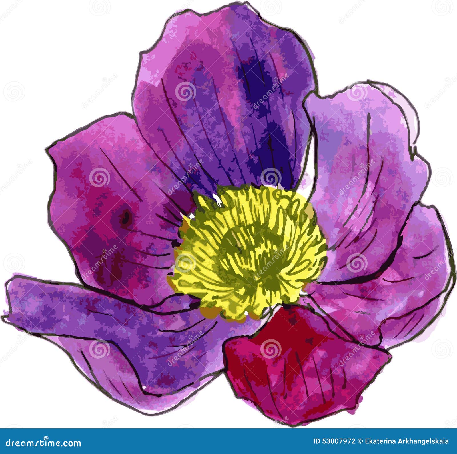 Watercolor Drawing Purple Flower Stock Vector - Image: 53007972