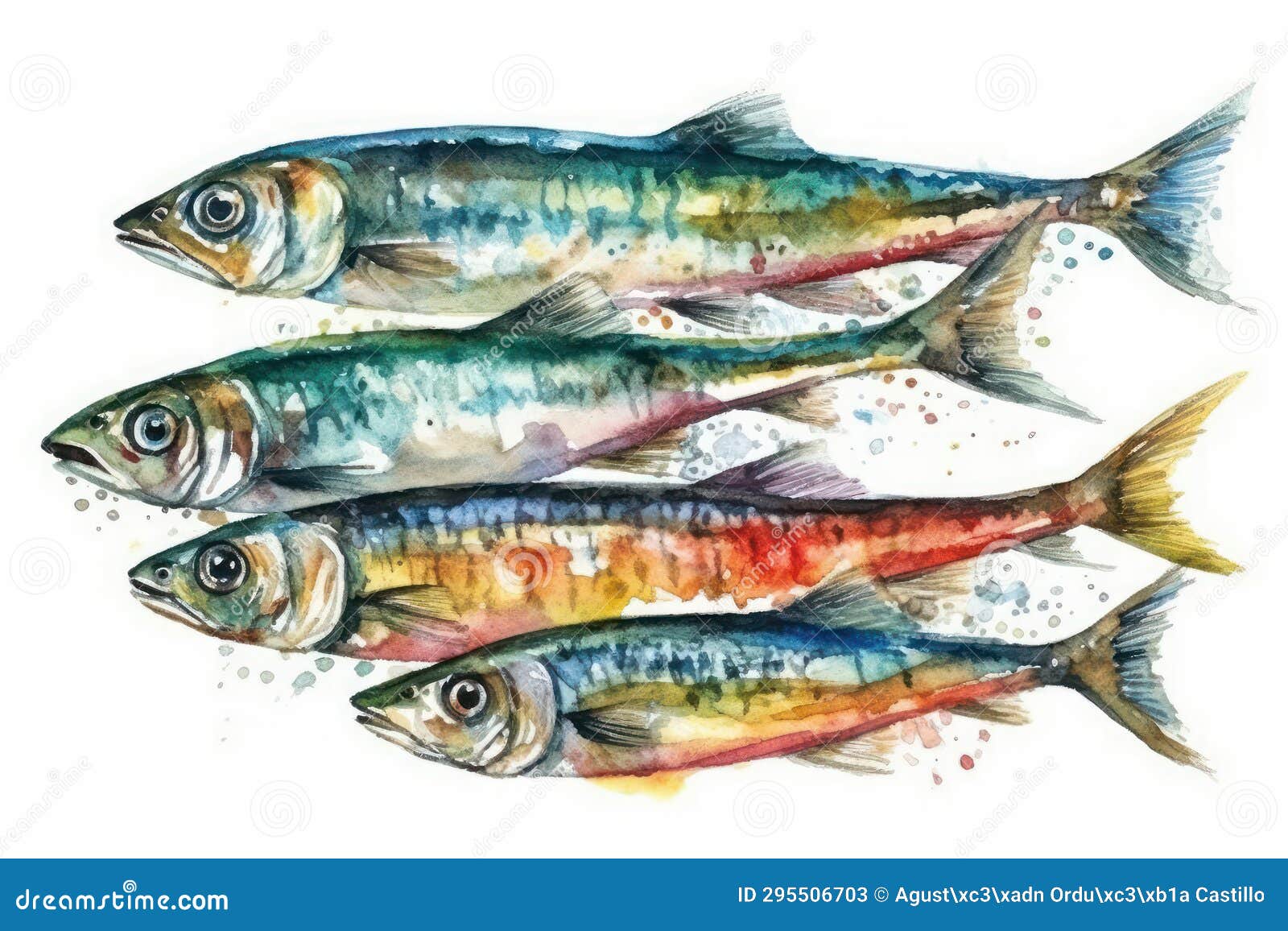 Watercolor Drawing of a School of Sardines. Stock Illustration