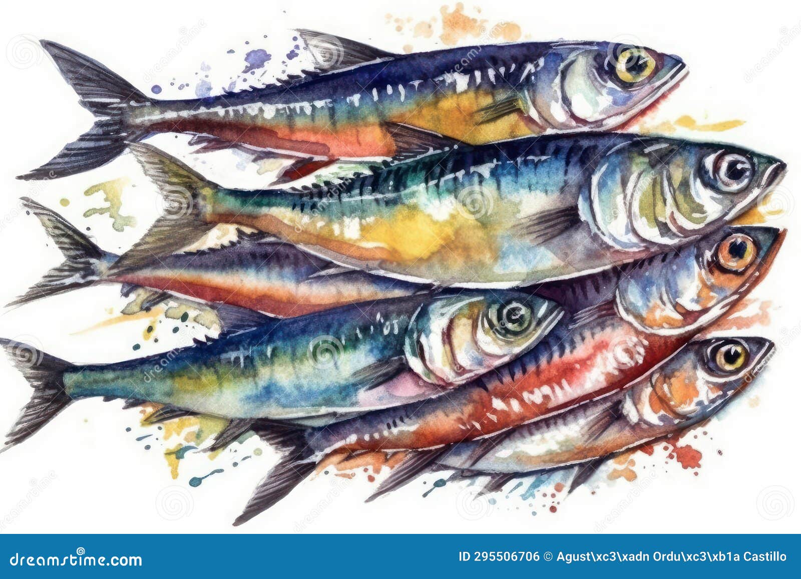 Watercolor Drawing of a School of Sardines. Stock Illustration