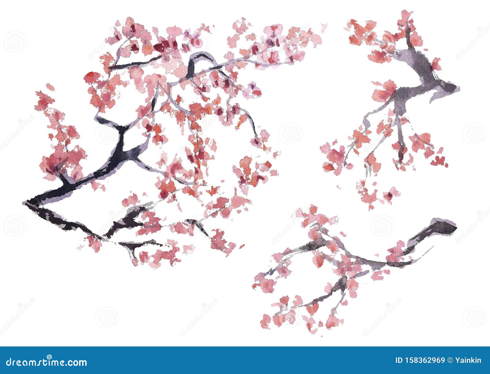 japanese cherry blossom drawings