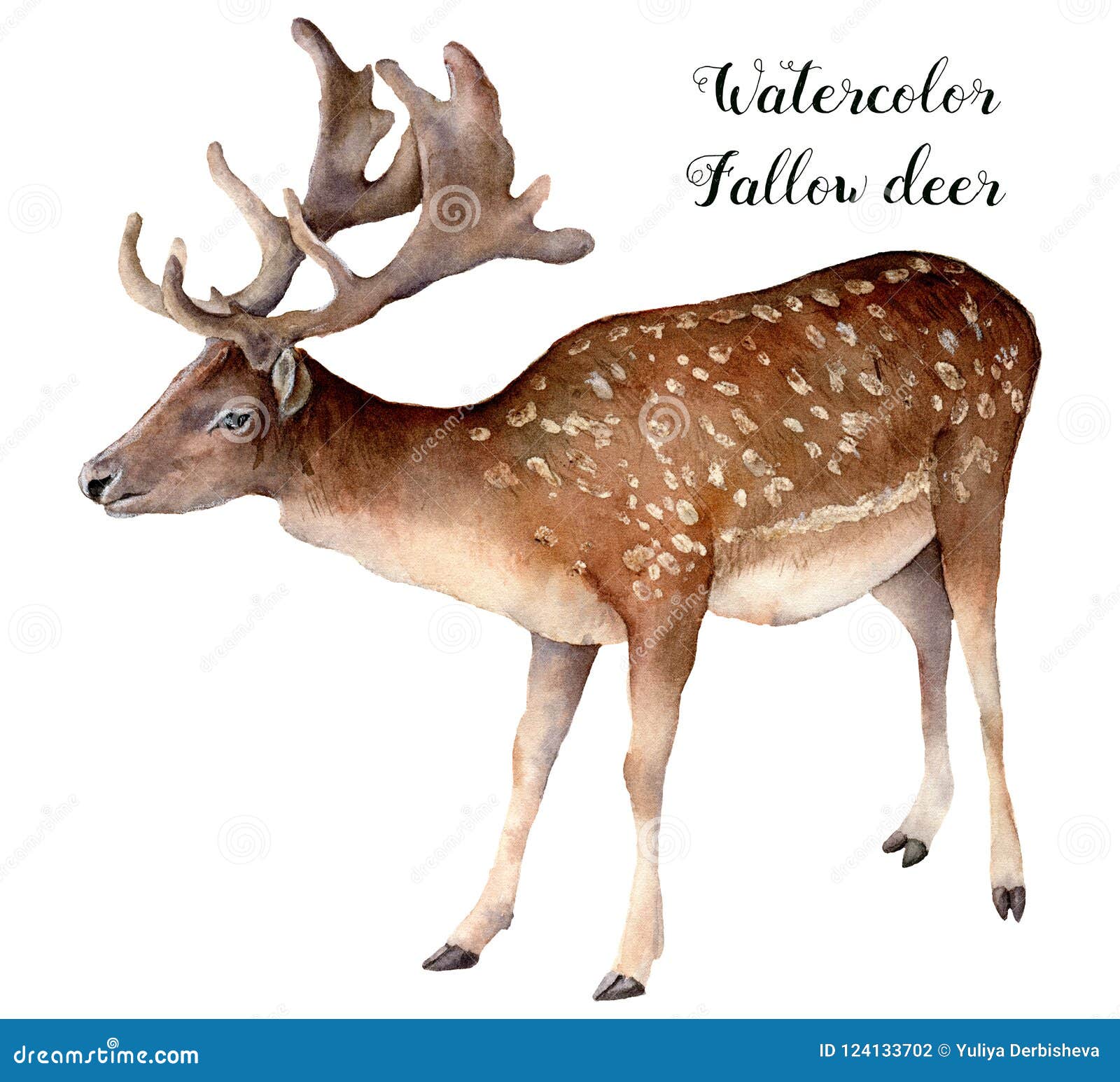 Easy How to Draw a Deer Guide | Skip To My Lou