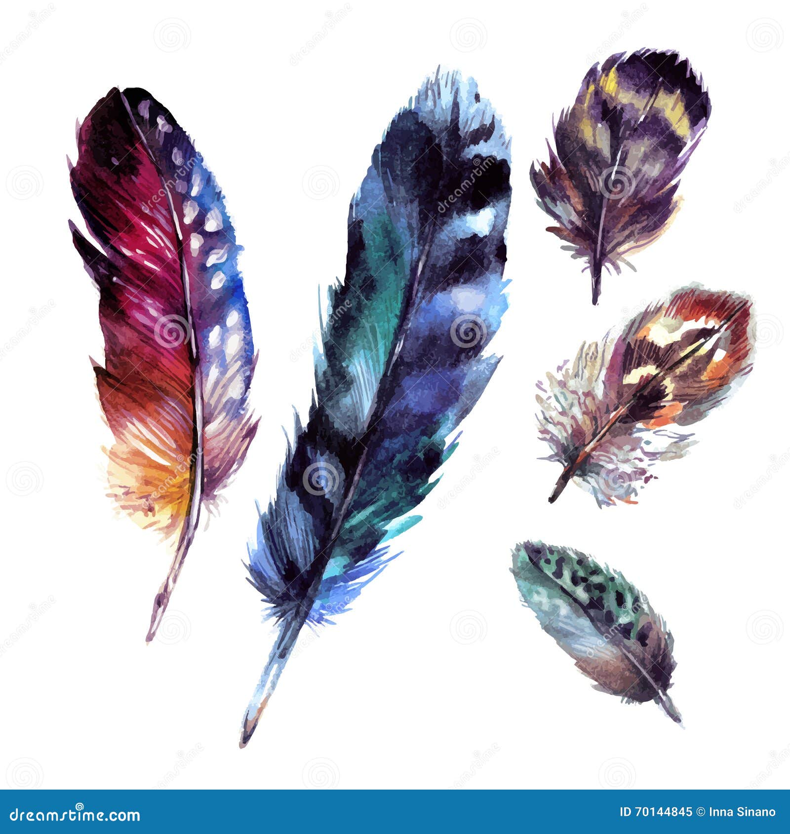 watercolor feathers set