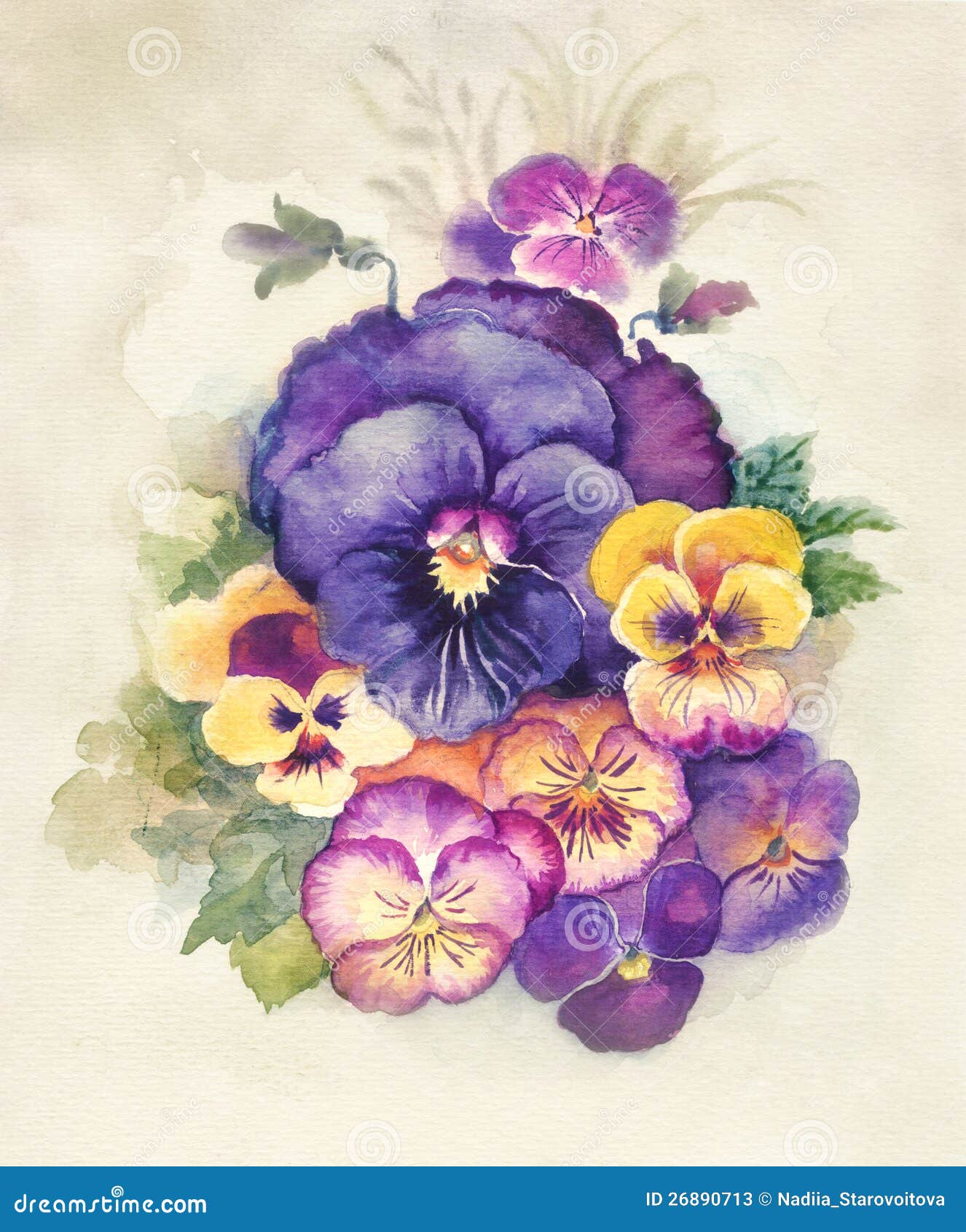 watercolor flora collection: viola