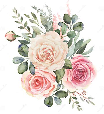 Watercolor Floral Bouquet with Roses and Eucalyptus Stock Illustration ...