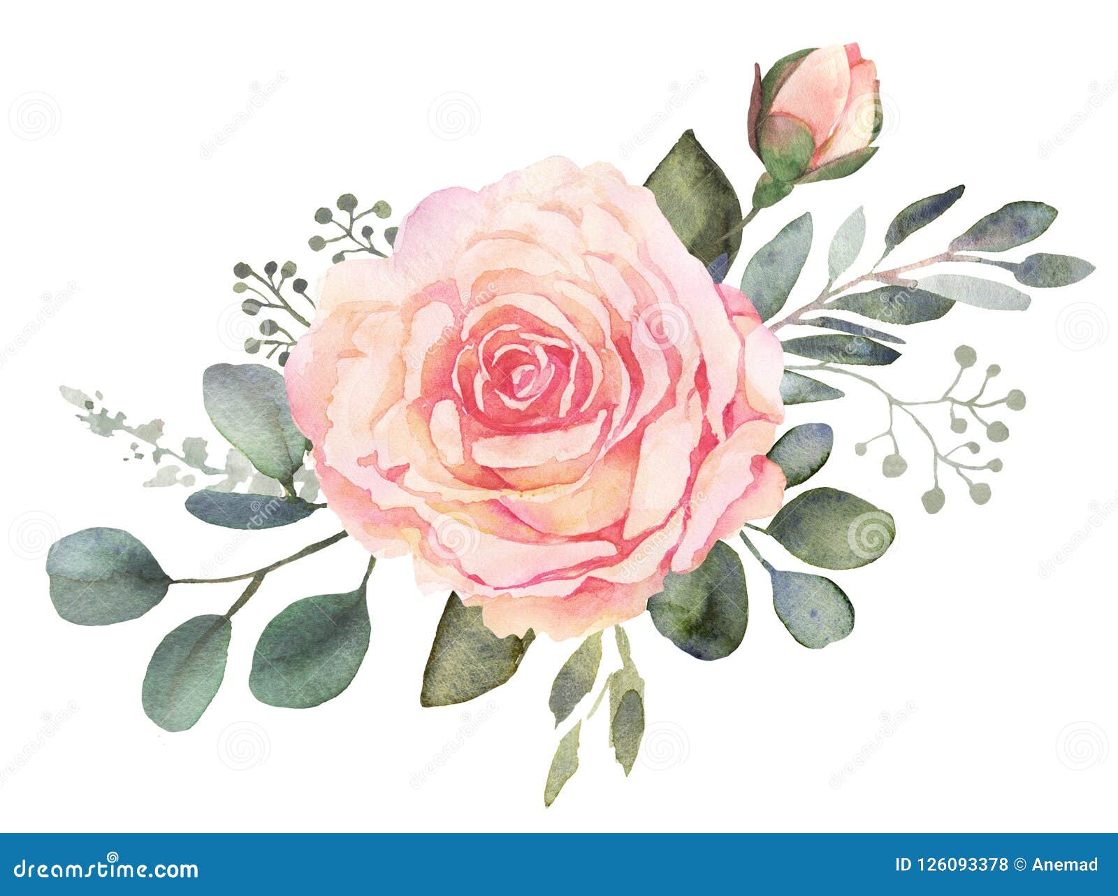Watercolor Floral Bouquet with Roses and Eucalyptus Stock Illustration