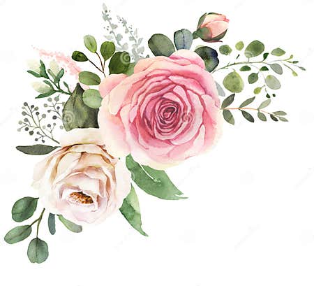 Watercolor Floral Bouquet with Roses and Eucalyptus Stock Illustration ...