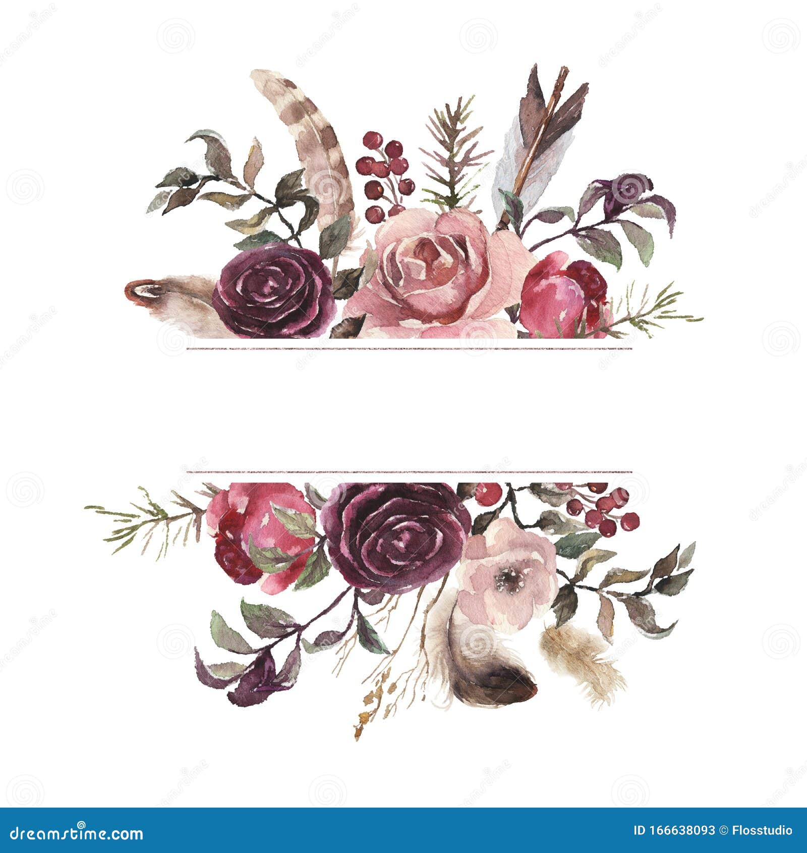 watercolor floral  - flower frame / border / header