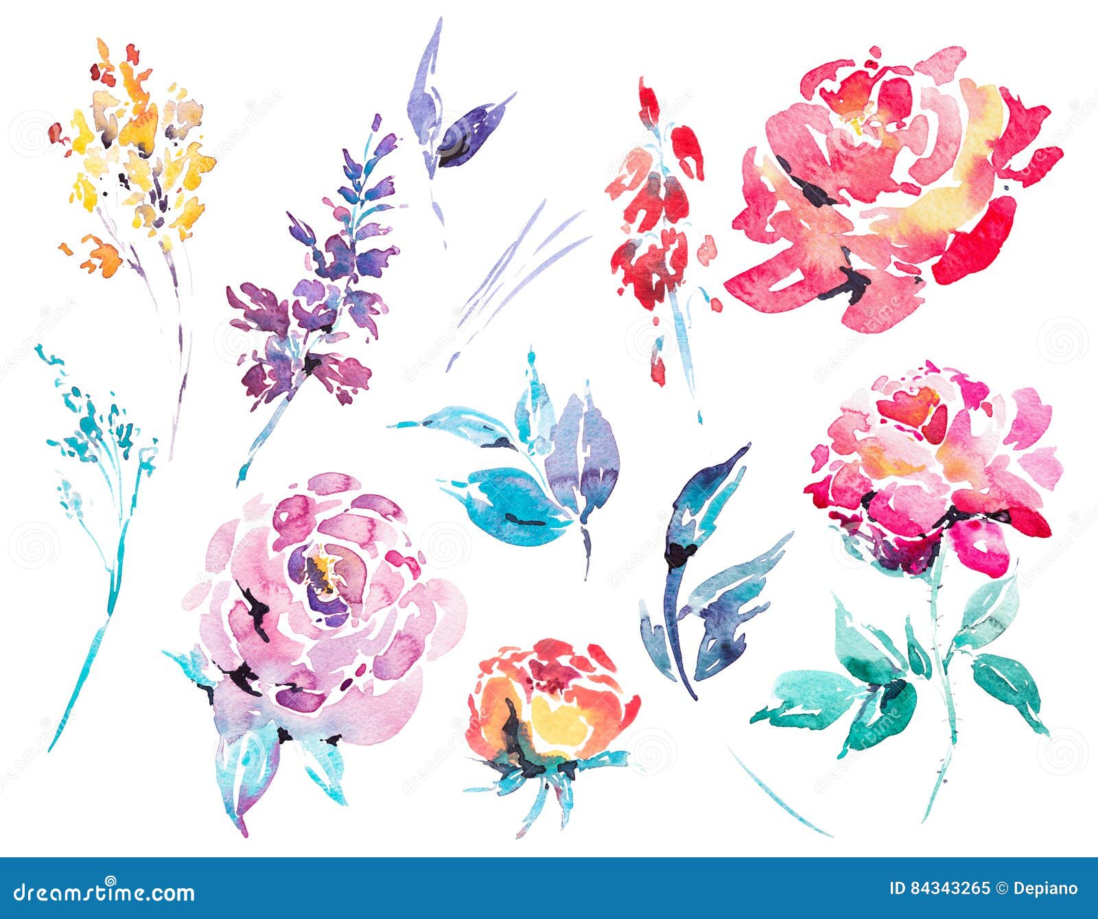 Watercolor Floral Isolated Design Elements Stock Illustration ...