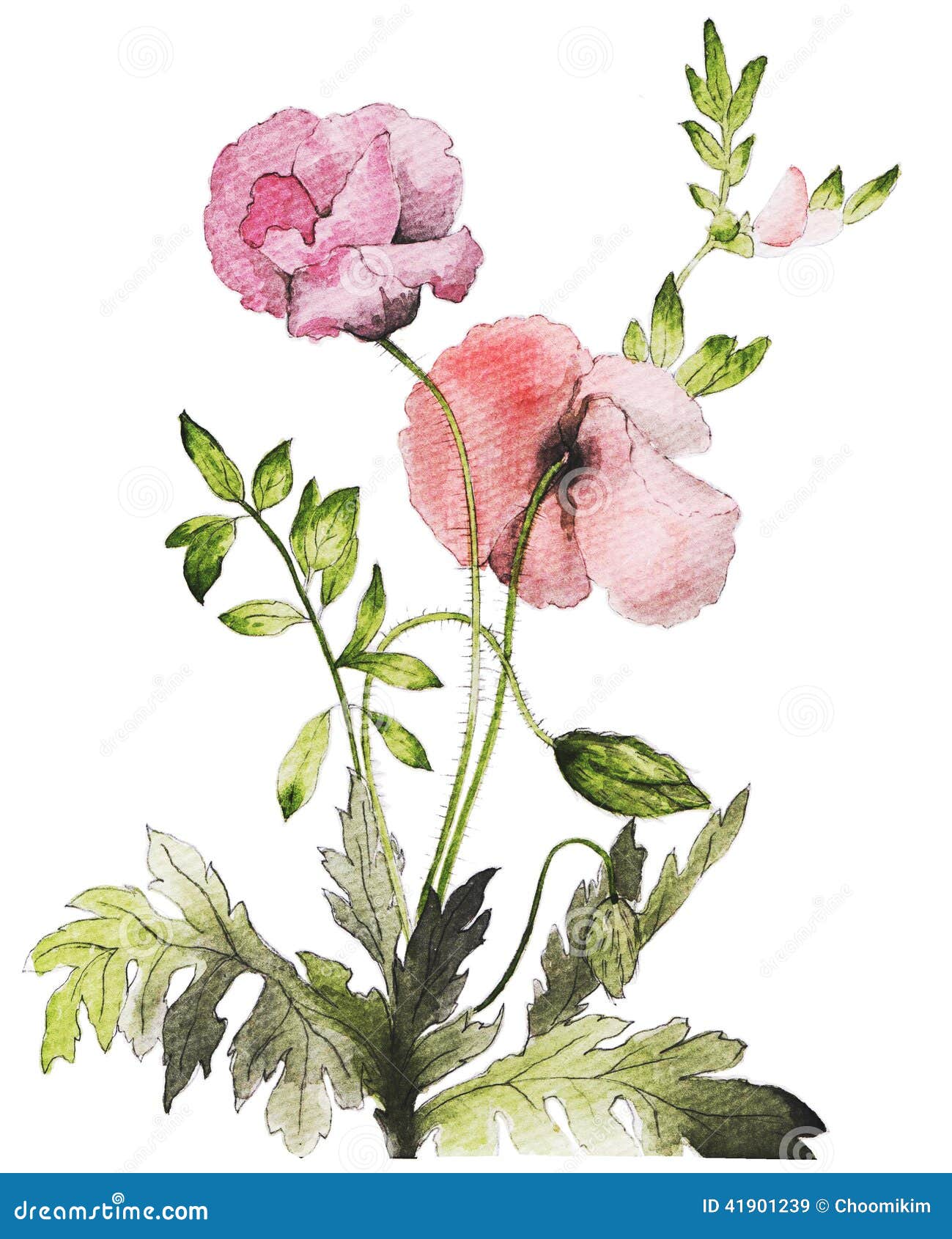 Watercolor Flower Drawing Stock Illustration Illustration Of Purple